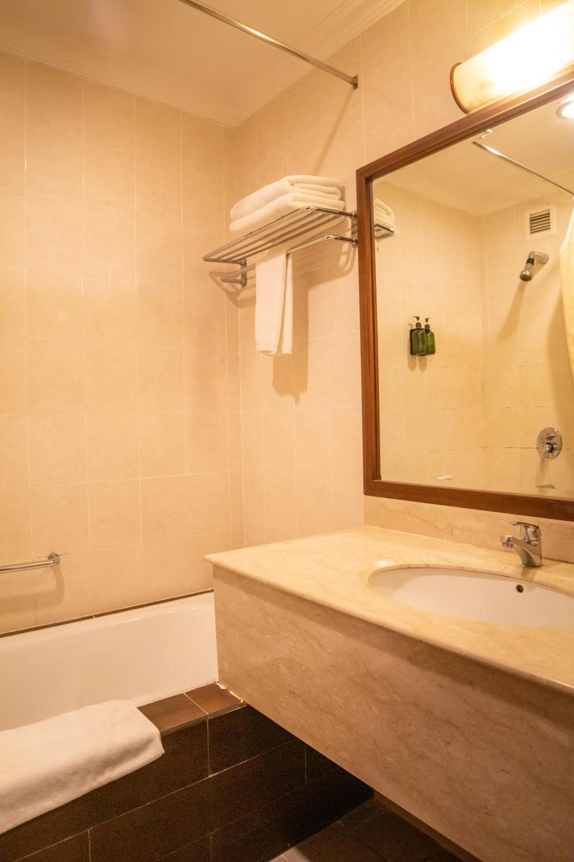 Bathroom in Swiss Hotel Apartment