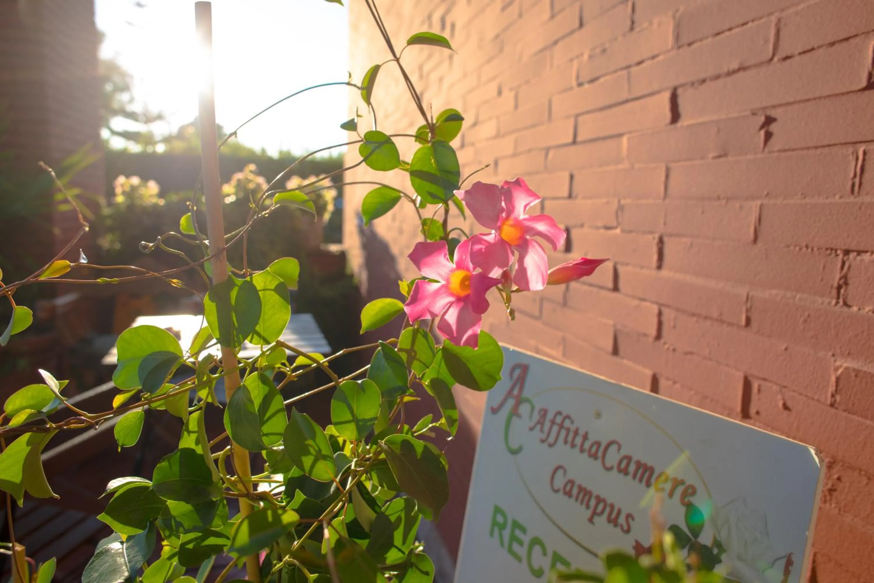 Spring in Affittacamere Campus Trigoria