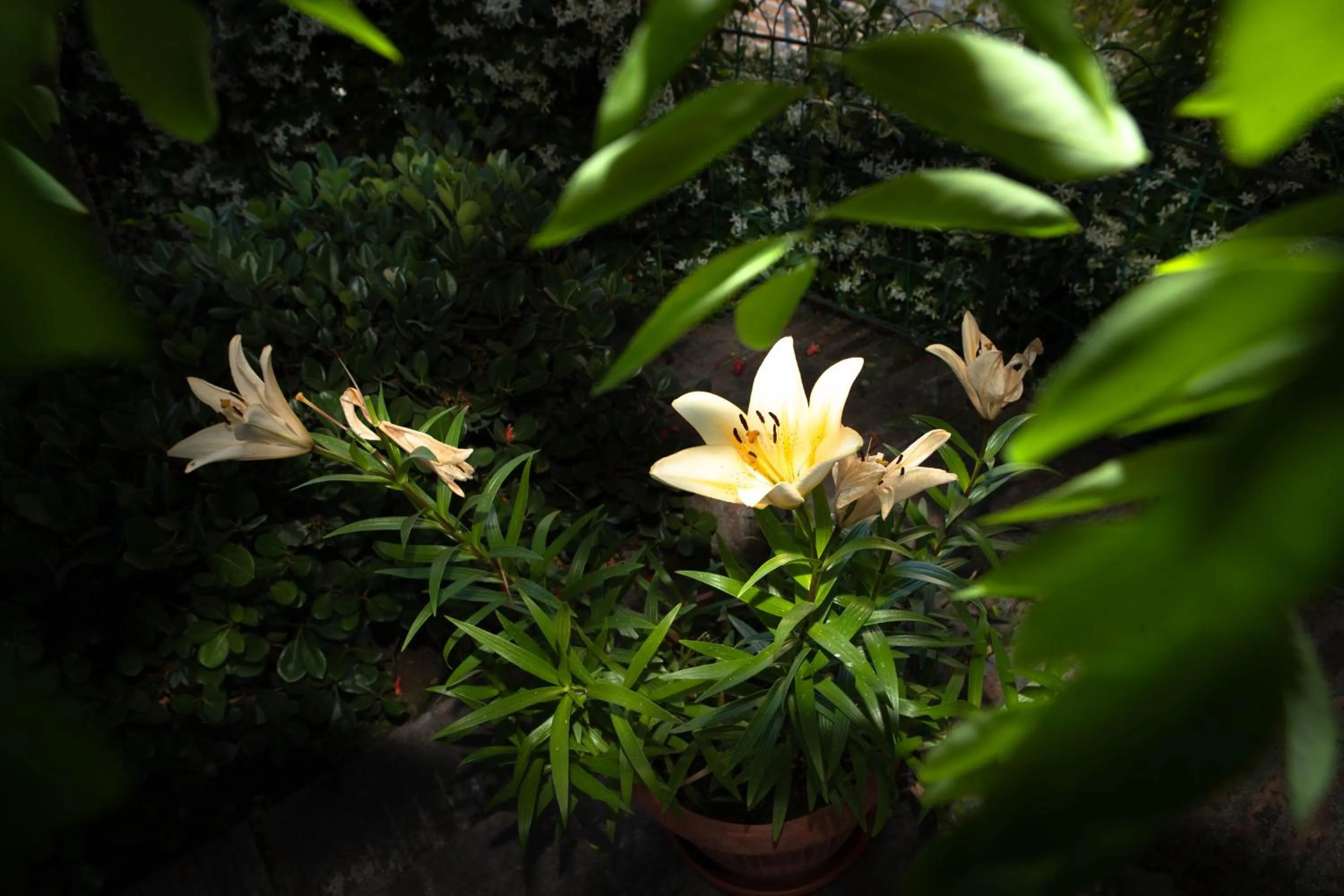 Day in Affittacamere Campus Trigoria