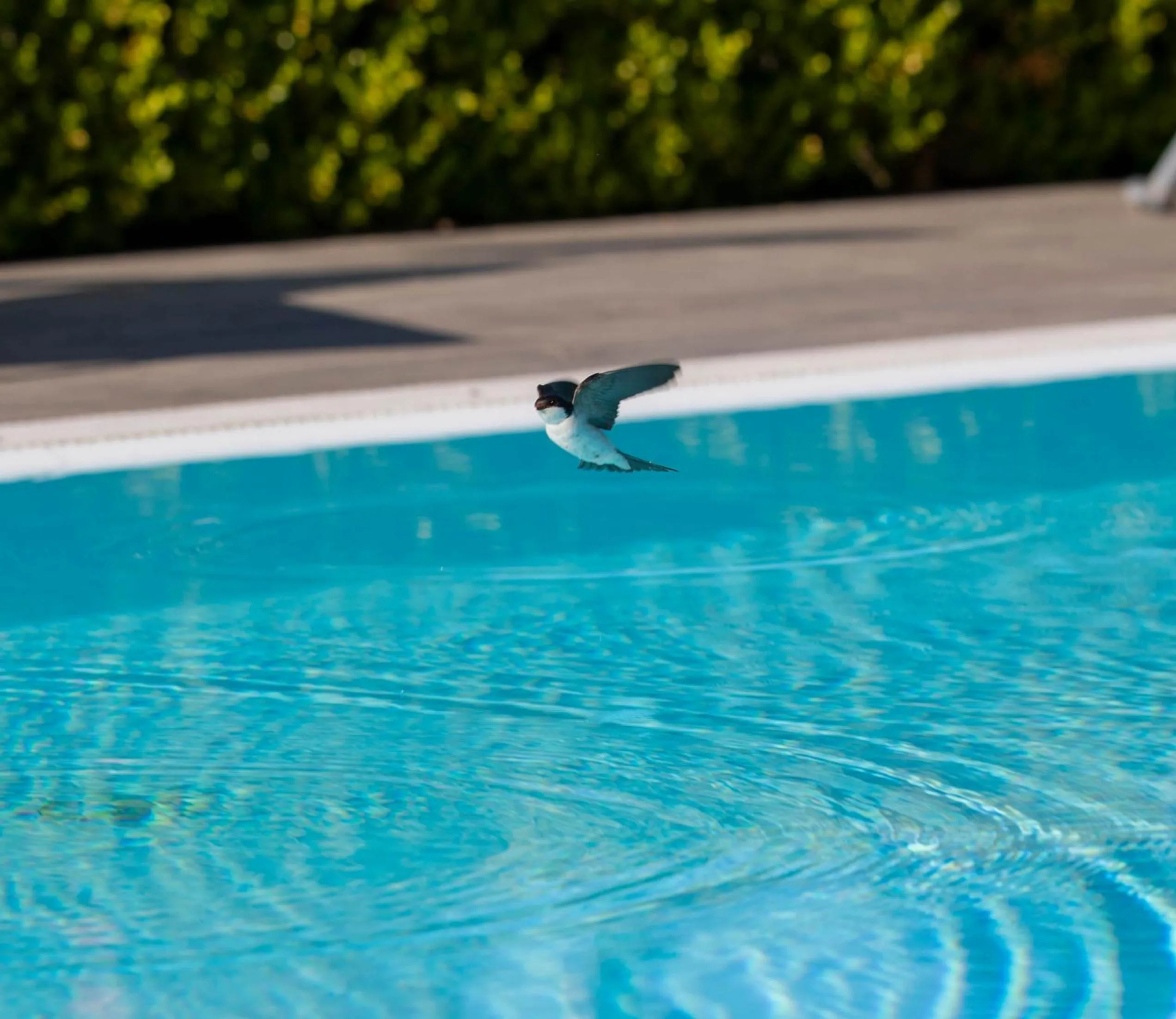 Pool view in Affittacamere Campus Trigoria