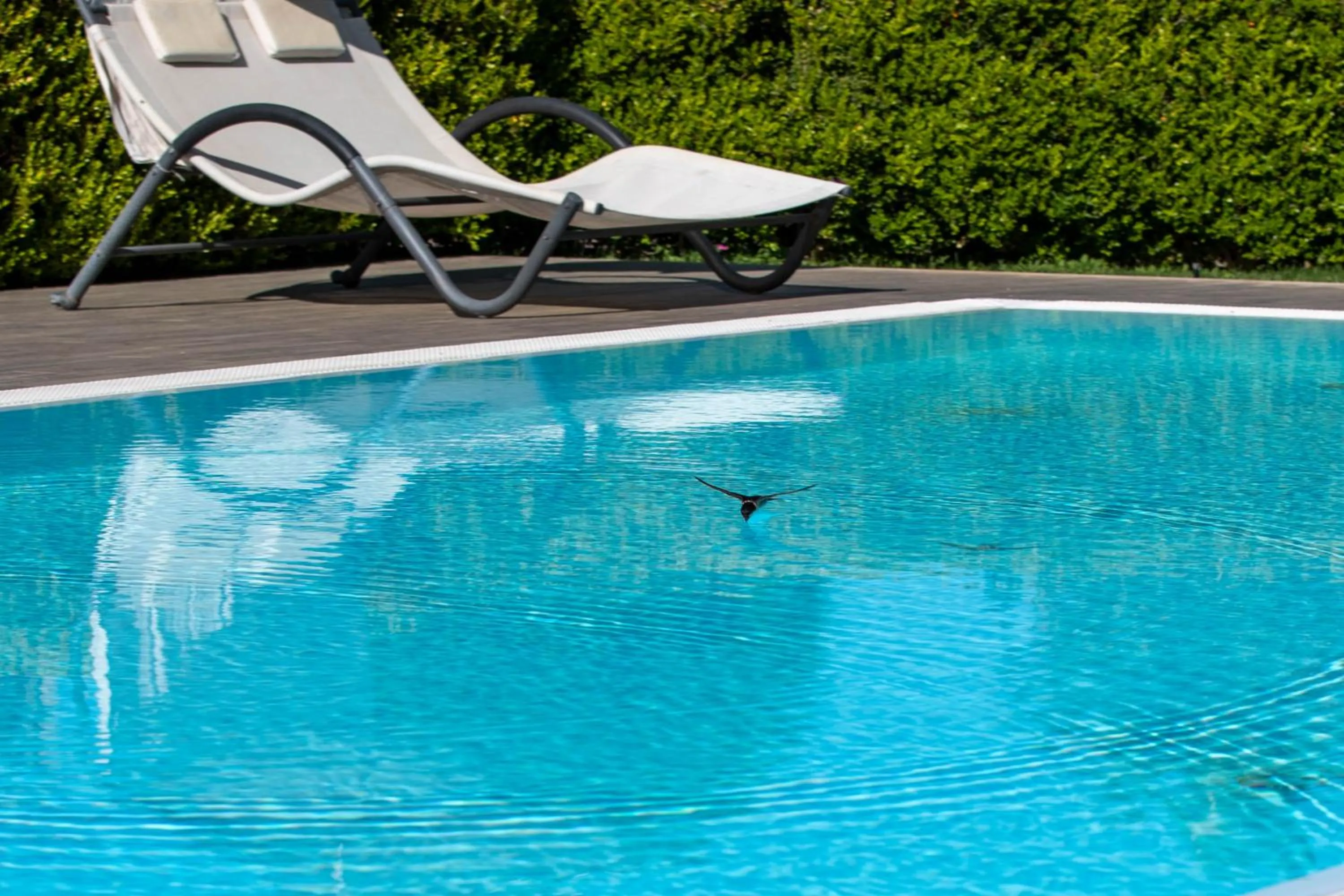 Pool view in Affittacamere Campus Trigoria