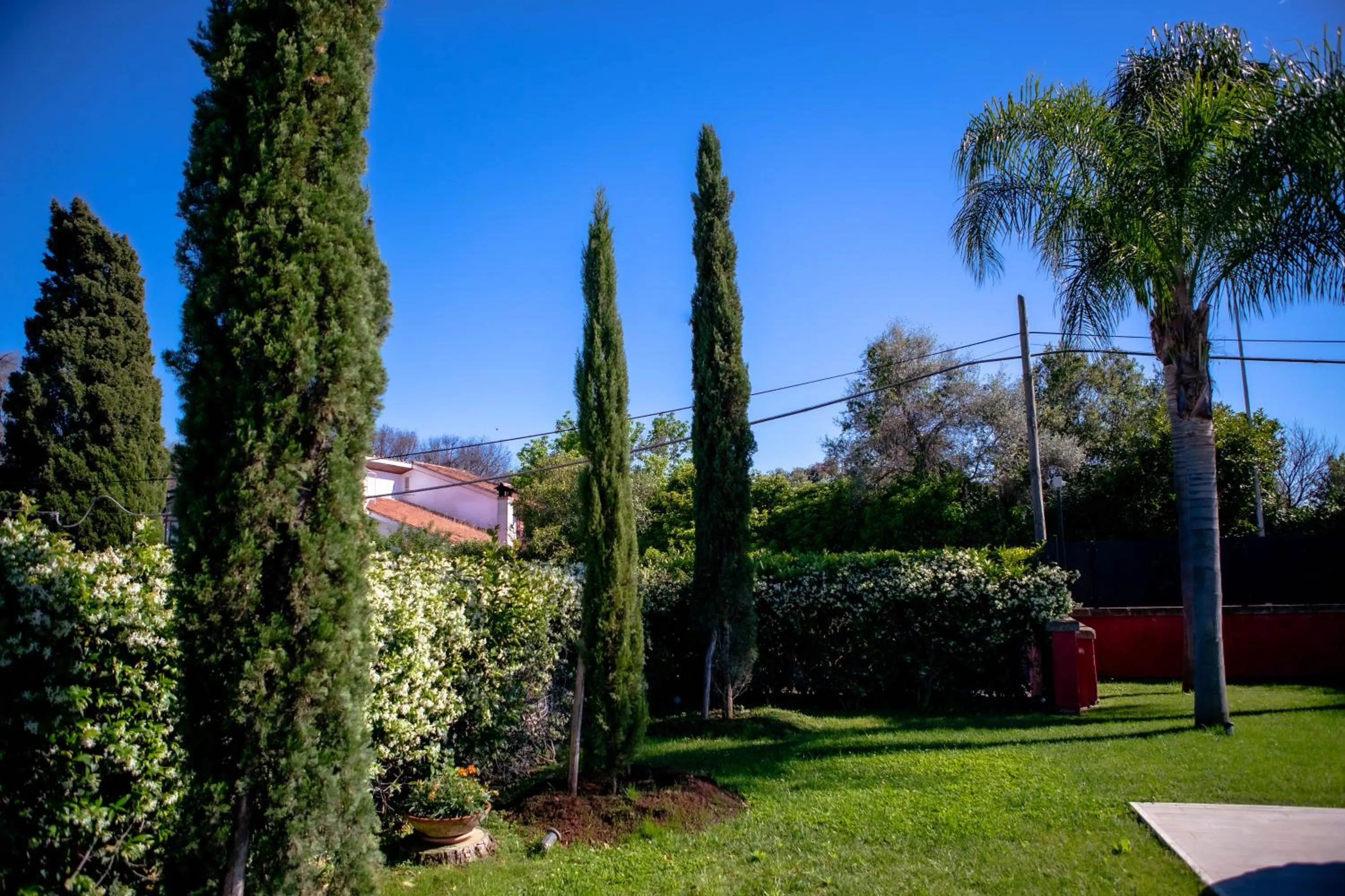 Natural landscape in Affittacamere Campus Trigoria