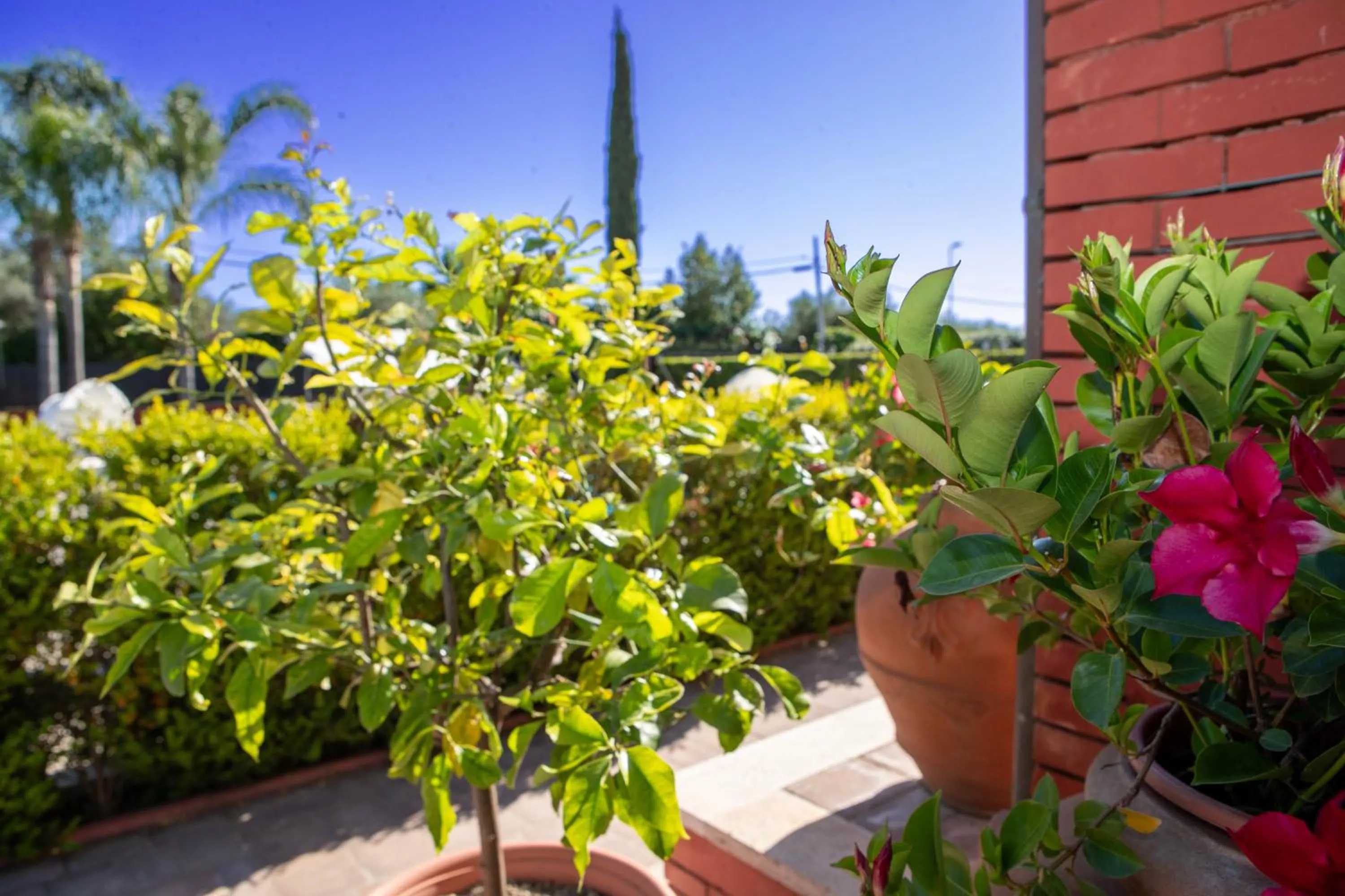 Garden in Affittacamere Campus Trigoria