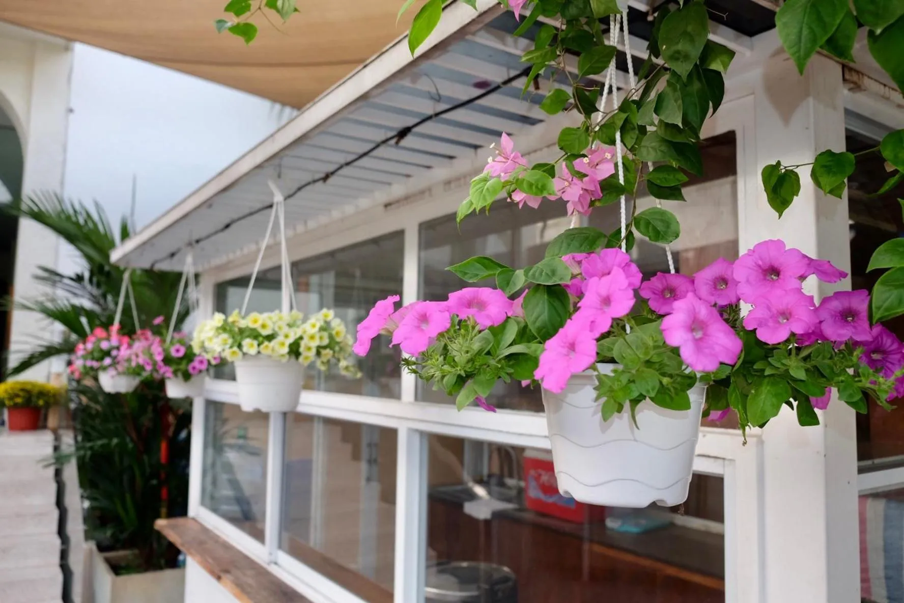 View (from property/room) in IN URBAN