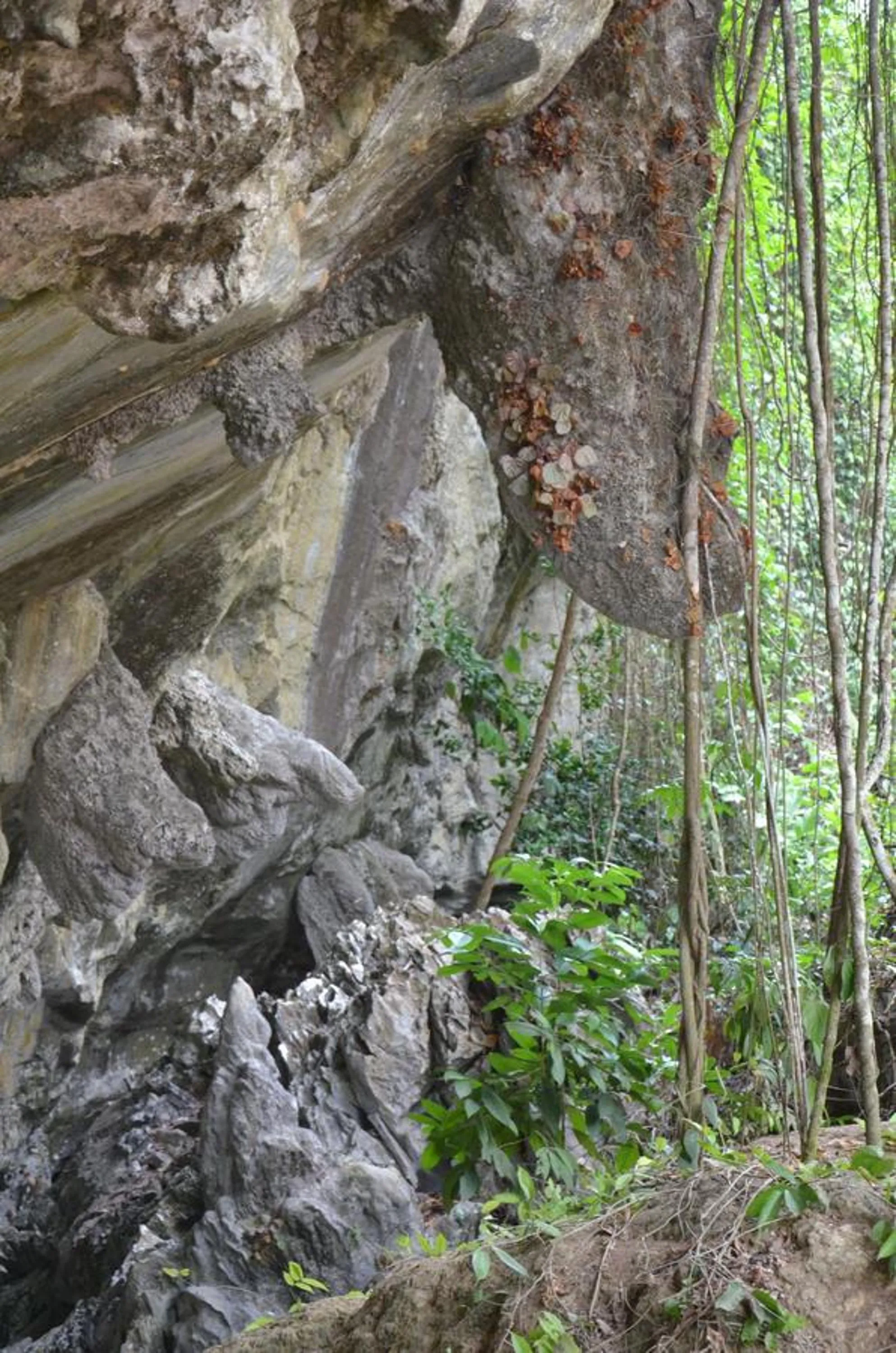 Natural landscape in Country house Pulai Holiday Village