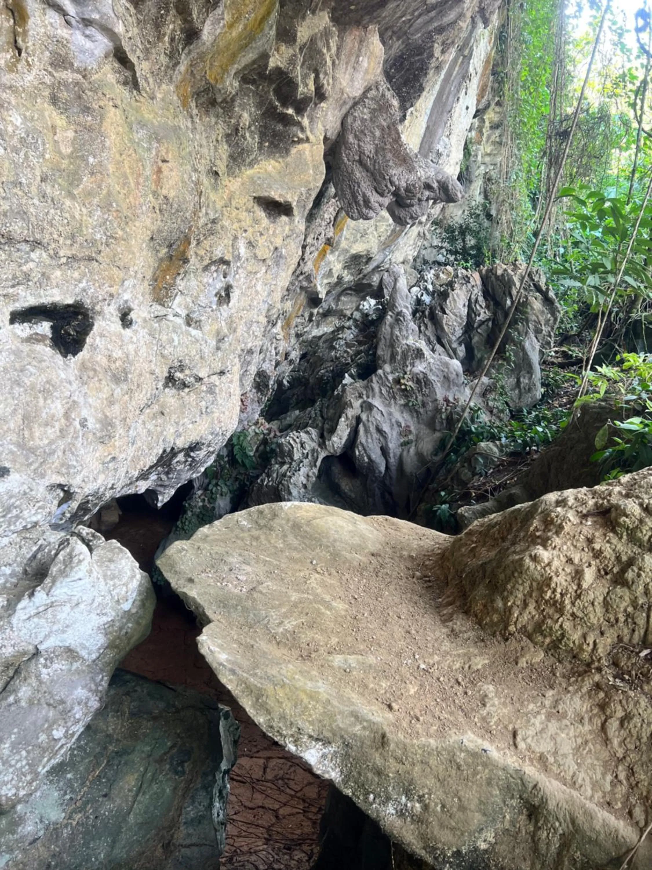 Country house Pulai Holiday Village