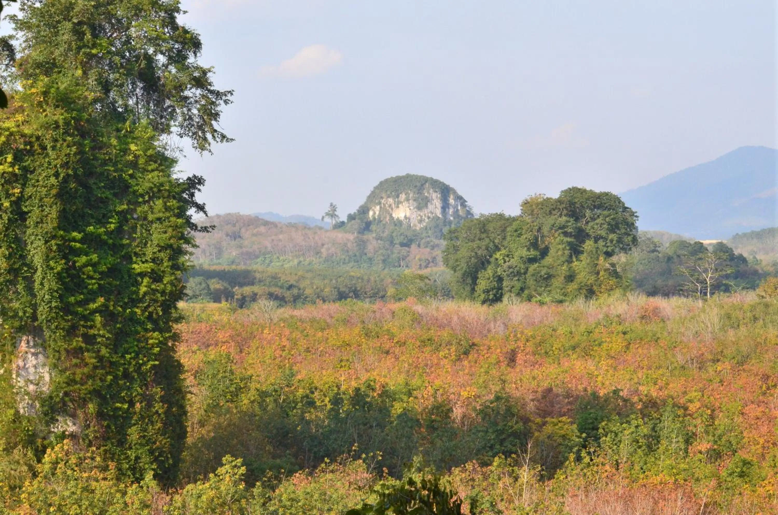 Off site in Country house Pulai Holiday Village