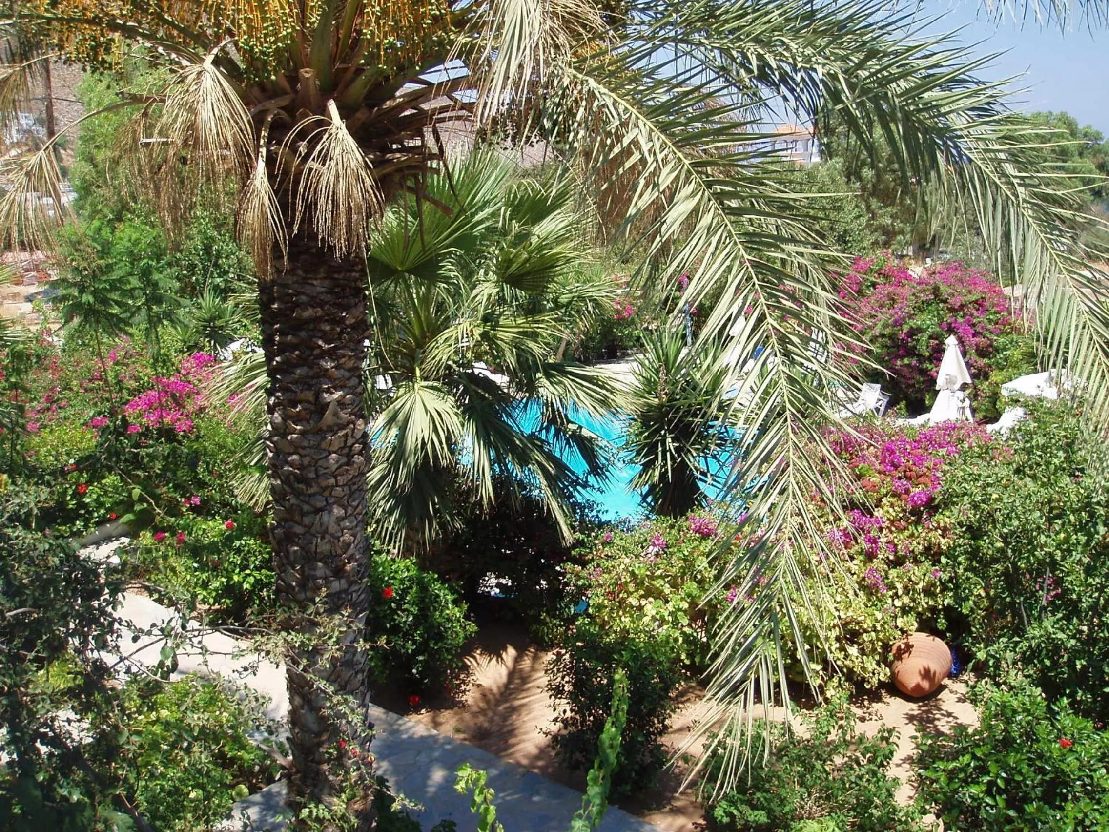 Swimming pool in Hotel Irini