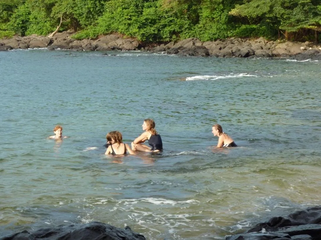 Daltons Banana Guesthouse