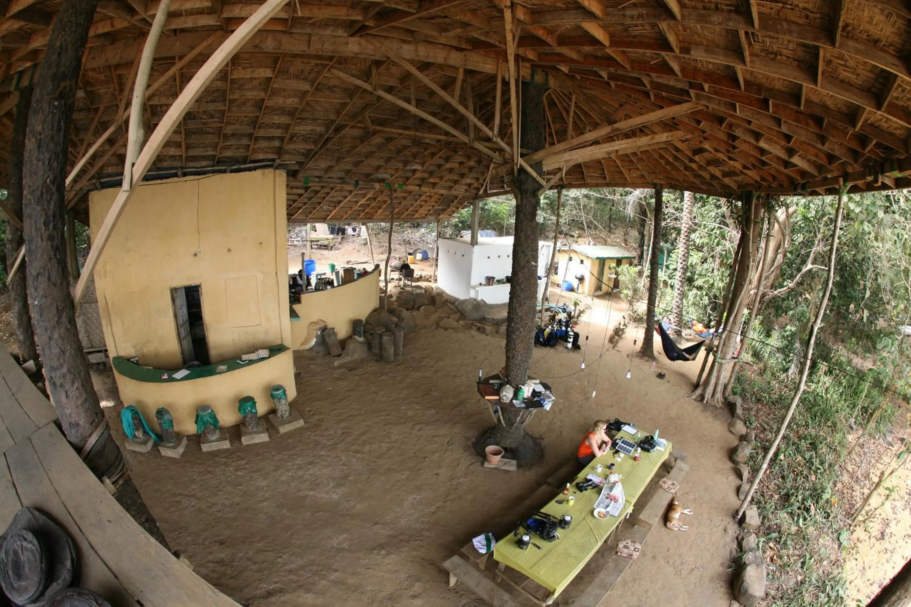 Daltons Banana Guesthouse