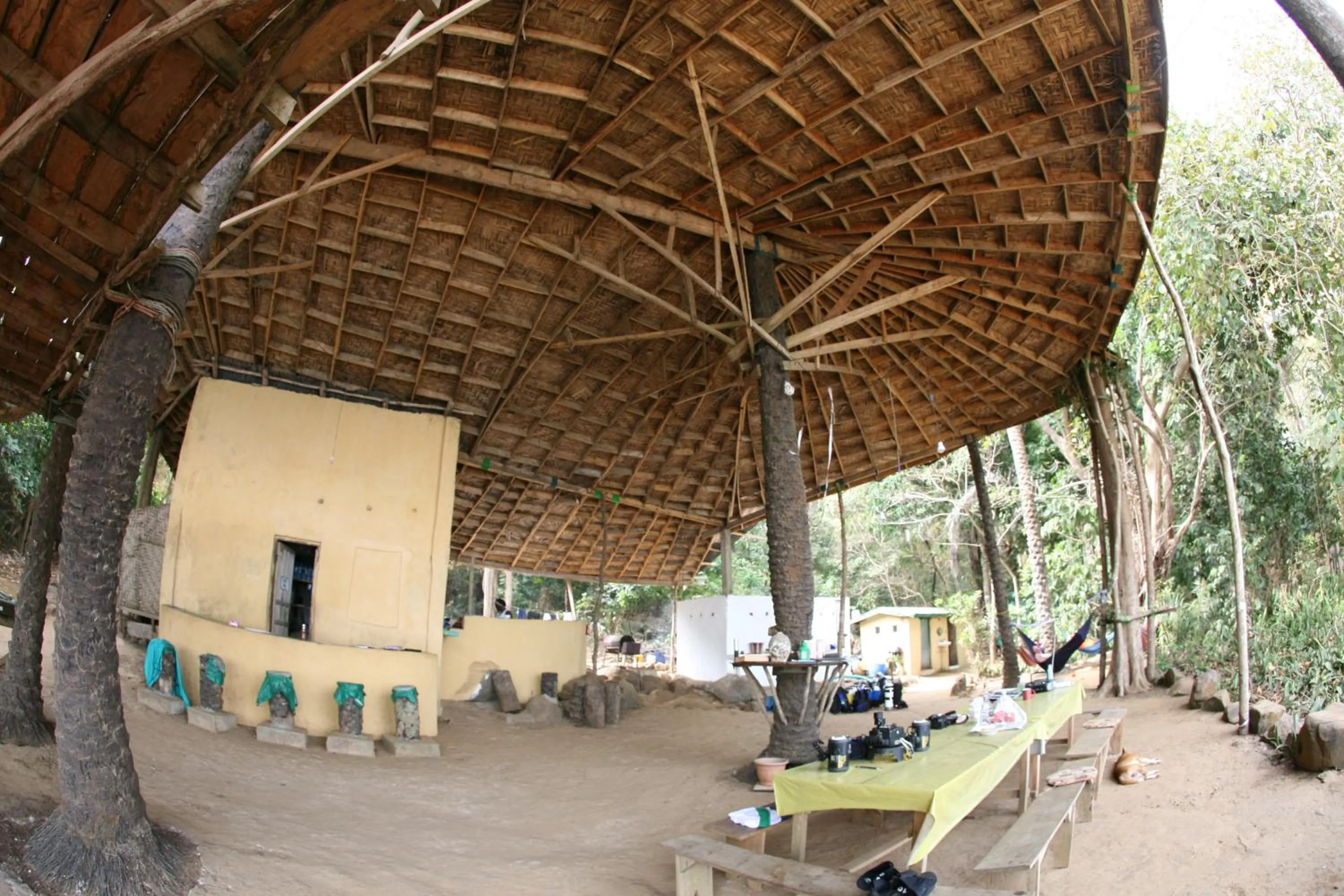 Daltons Banana Guesthouse