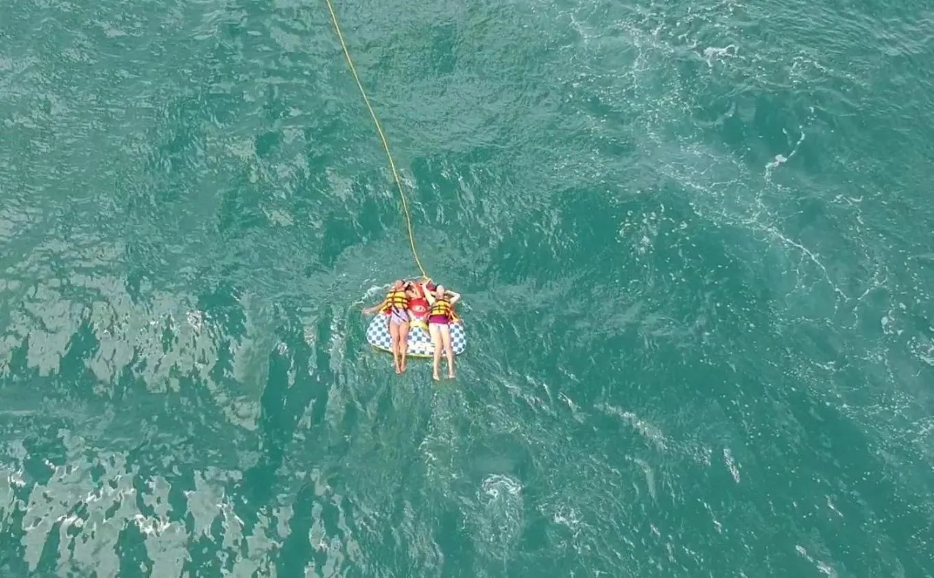 Daltons Banana Guesthouse