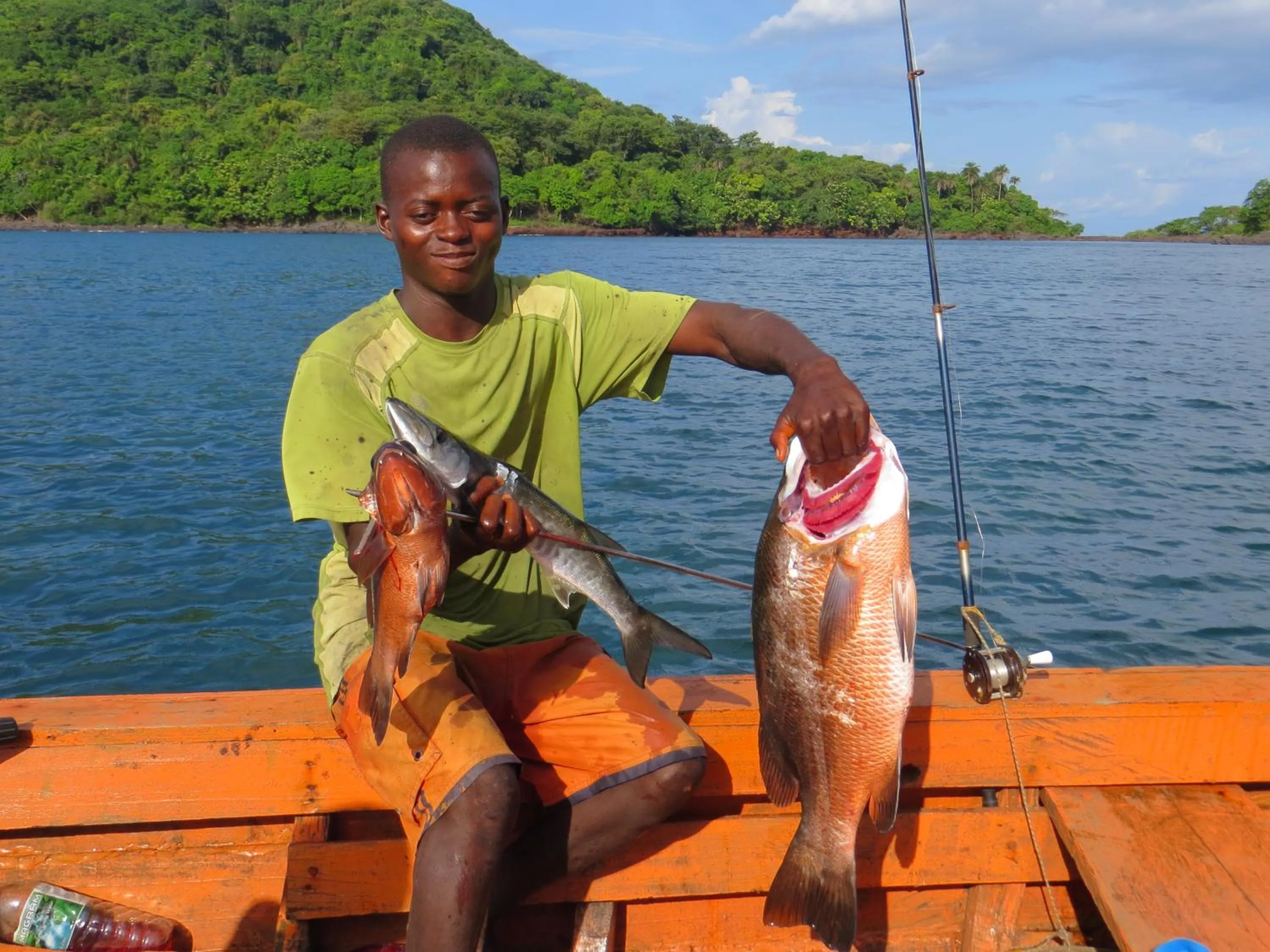 Daltons Banana Guesthouse