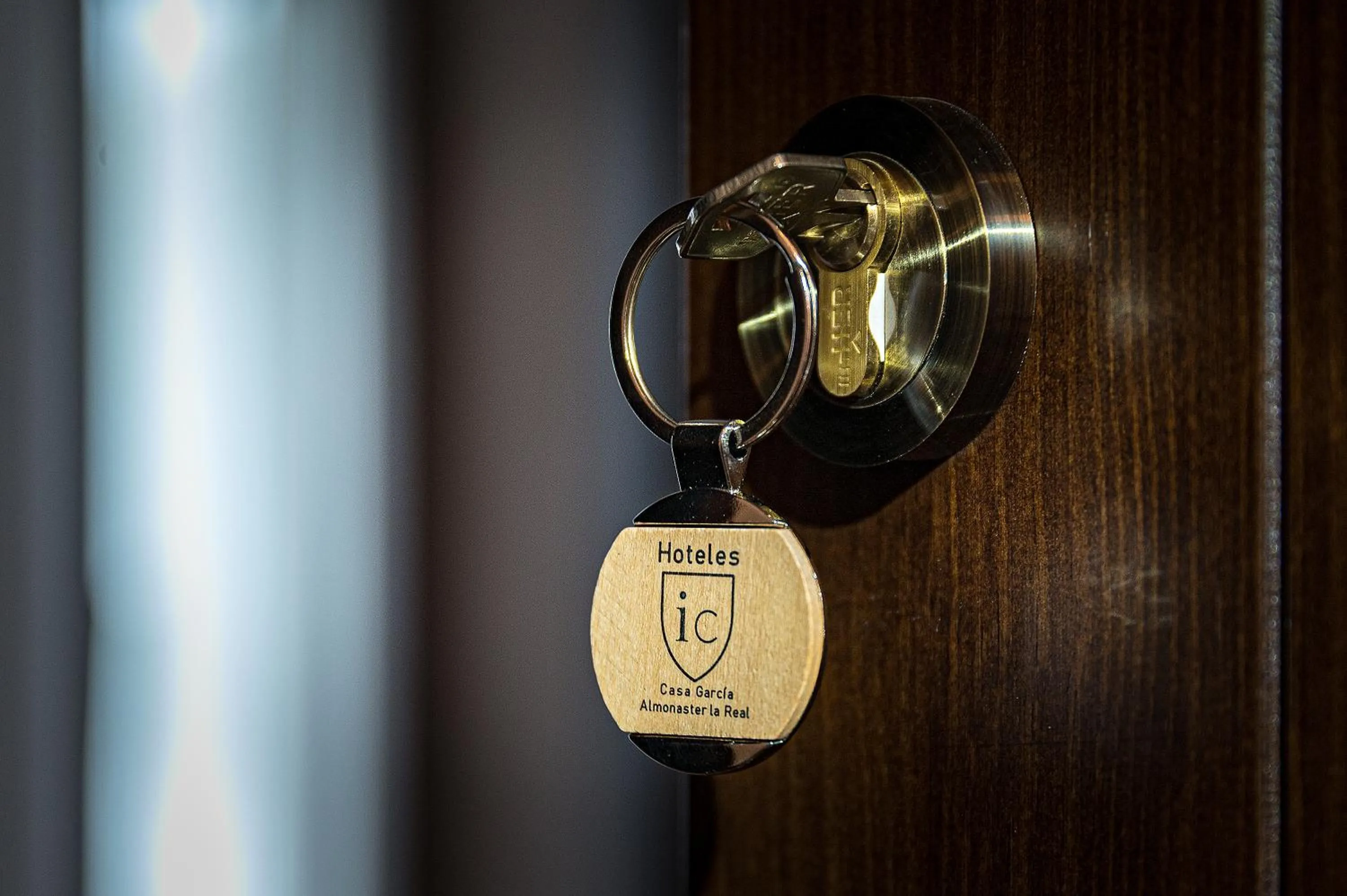 Decorative detail in Hotel-Restaurante Casa García Almonaster La Real