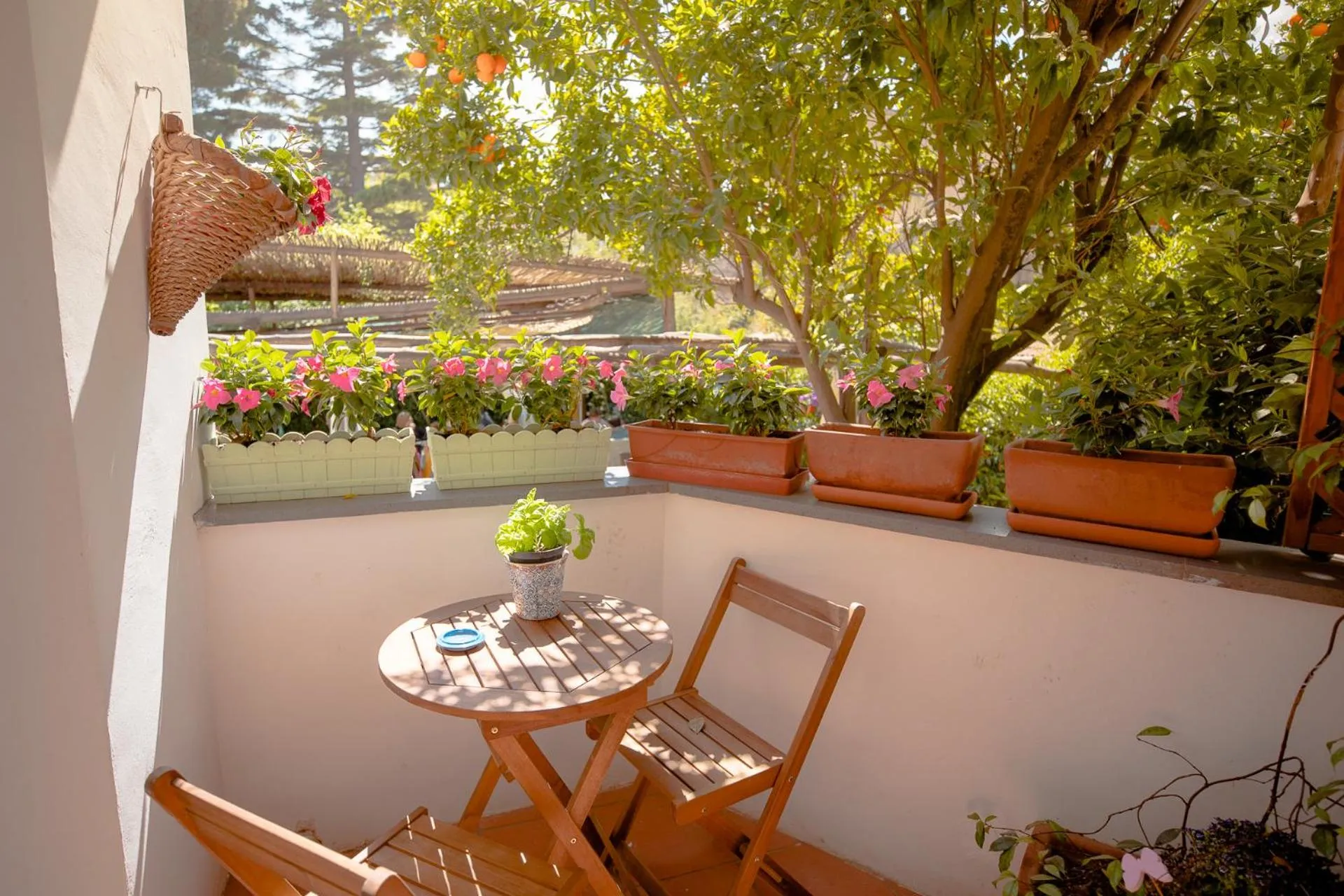Balcony/Terrace in Mimì B&B