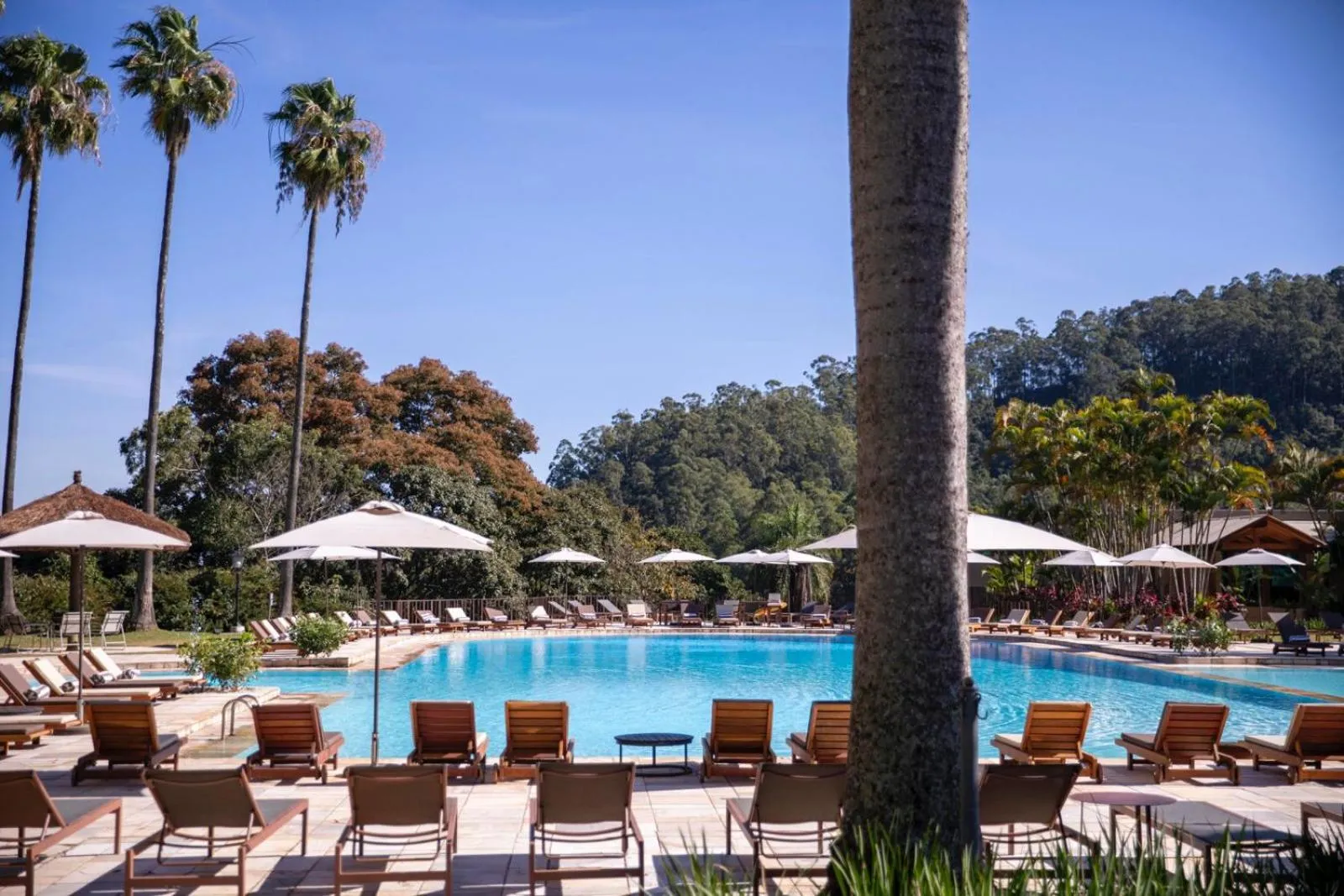 Swimming pool in Bendito Cacao Family Resort