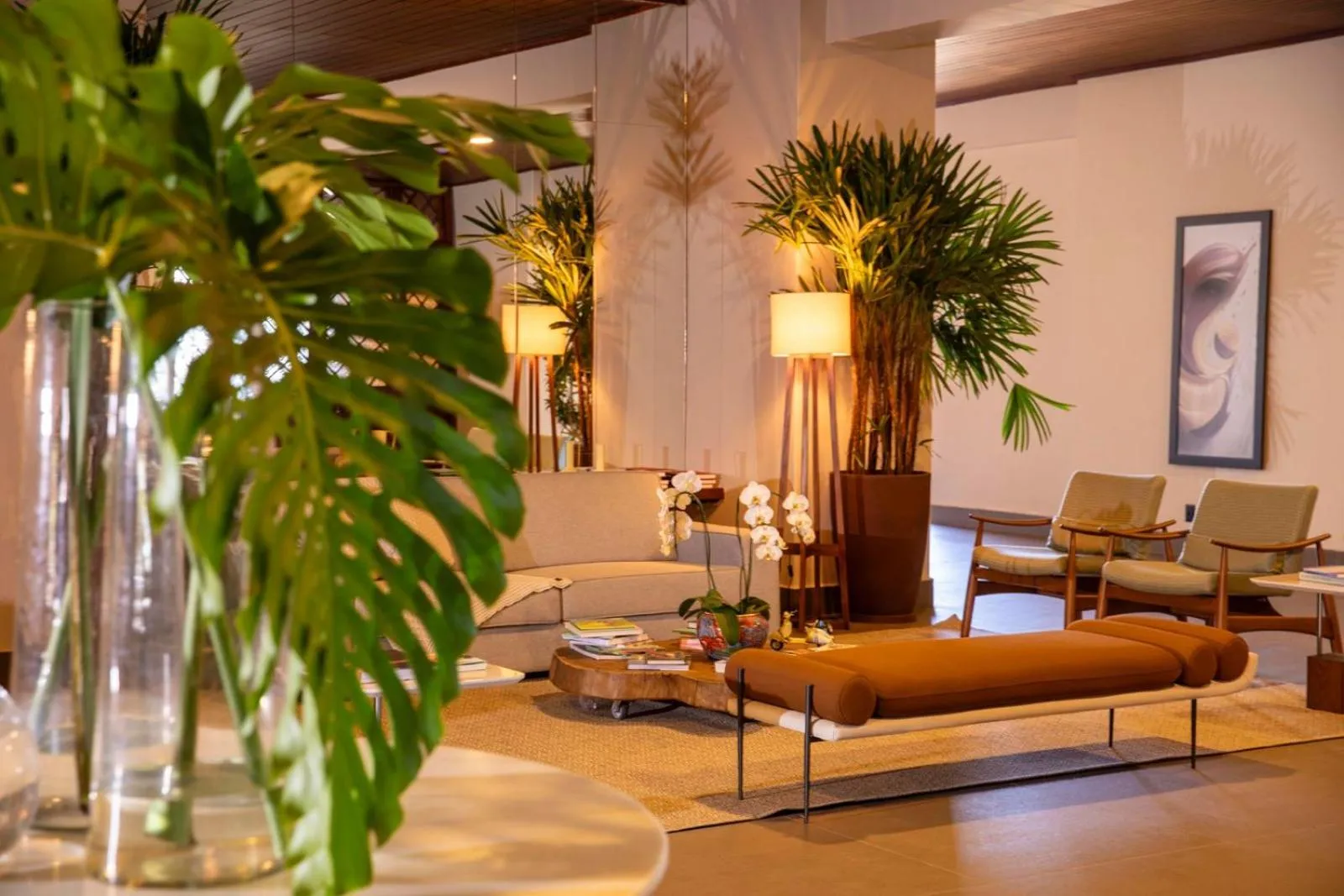 Lobby or reception in Bendito Cacao Family Resort