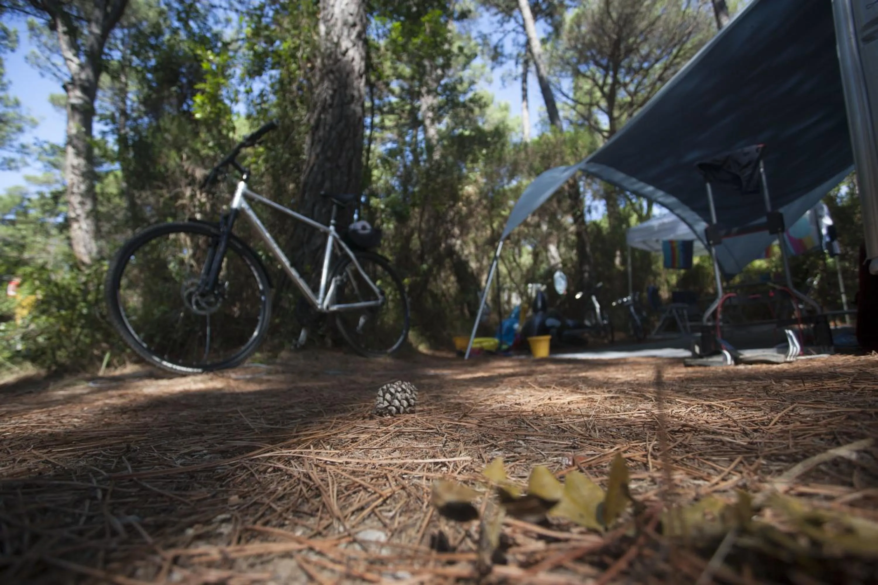 Other in PuntAla Camp & Resort