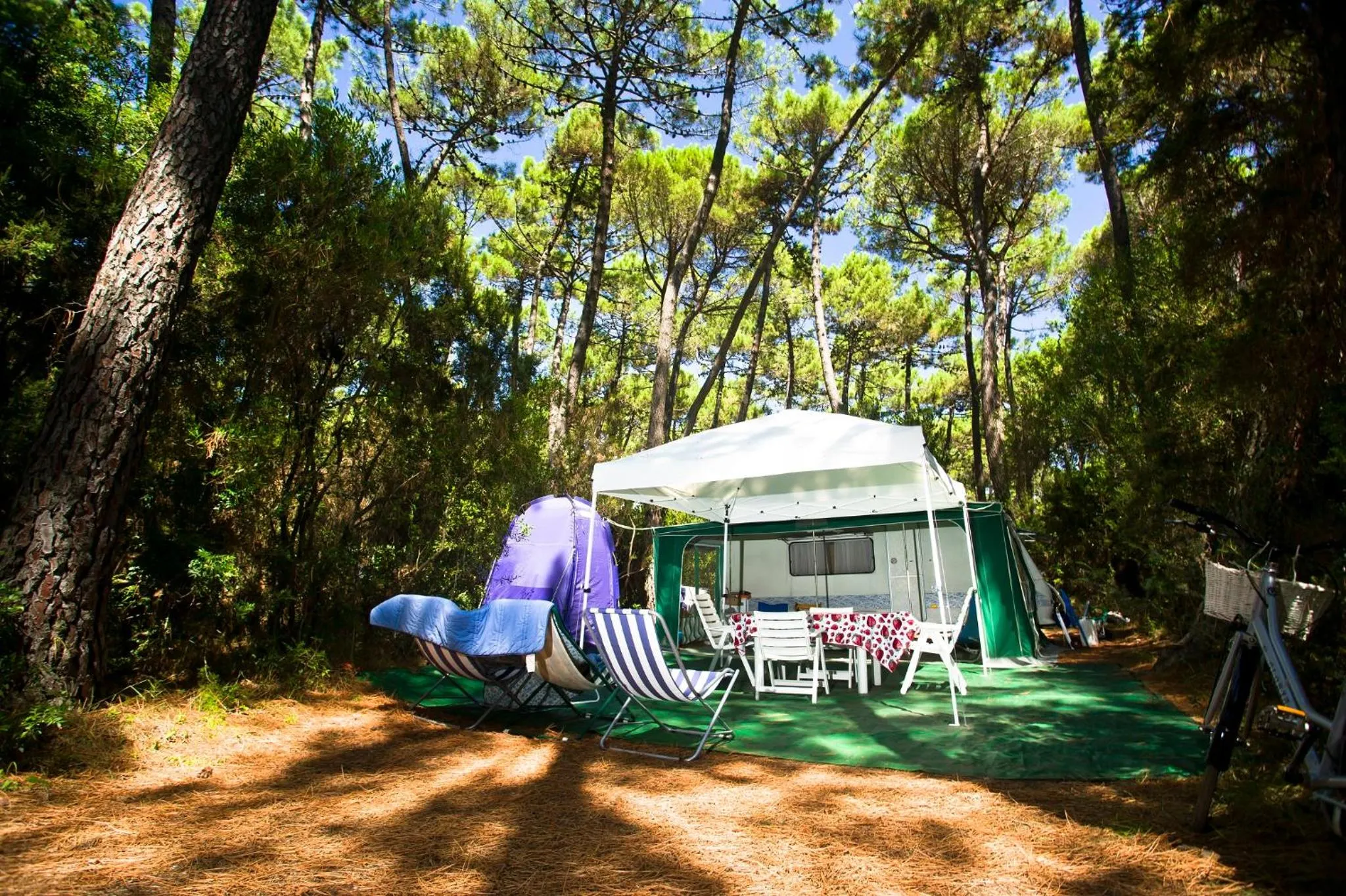 Spring in PuntAla Camp & Resort