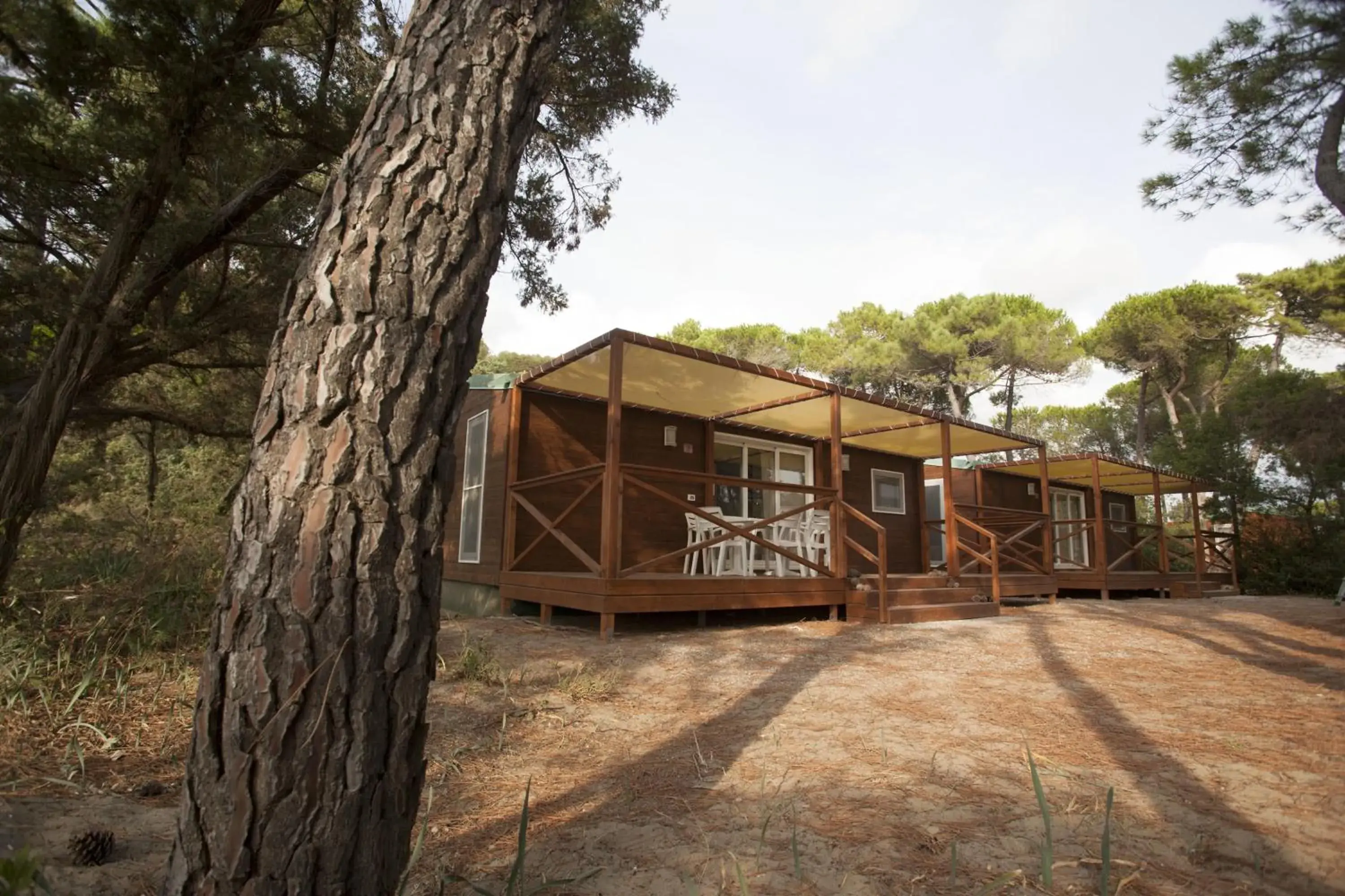 Two-Bedroom Mobile Home with Terrace (6 Adults) in PuntAla Camp & Resort Two-Bedroom Mobile Home with Terrace (6 Adults) in PuntAla Camp & Resort