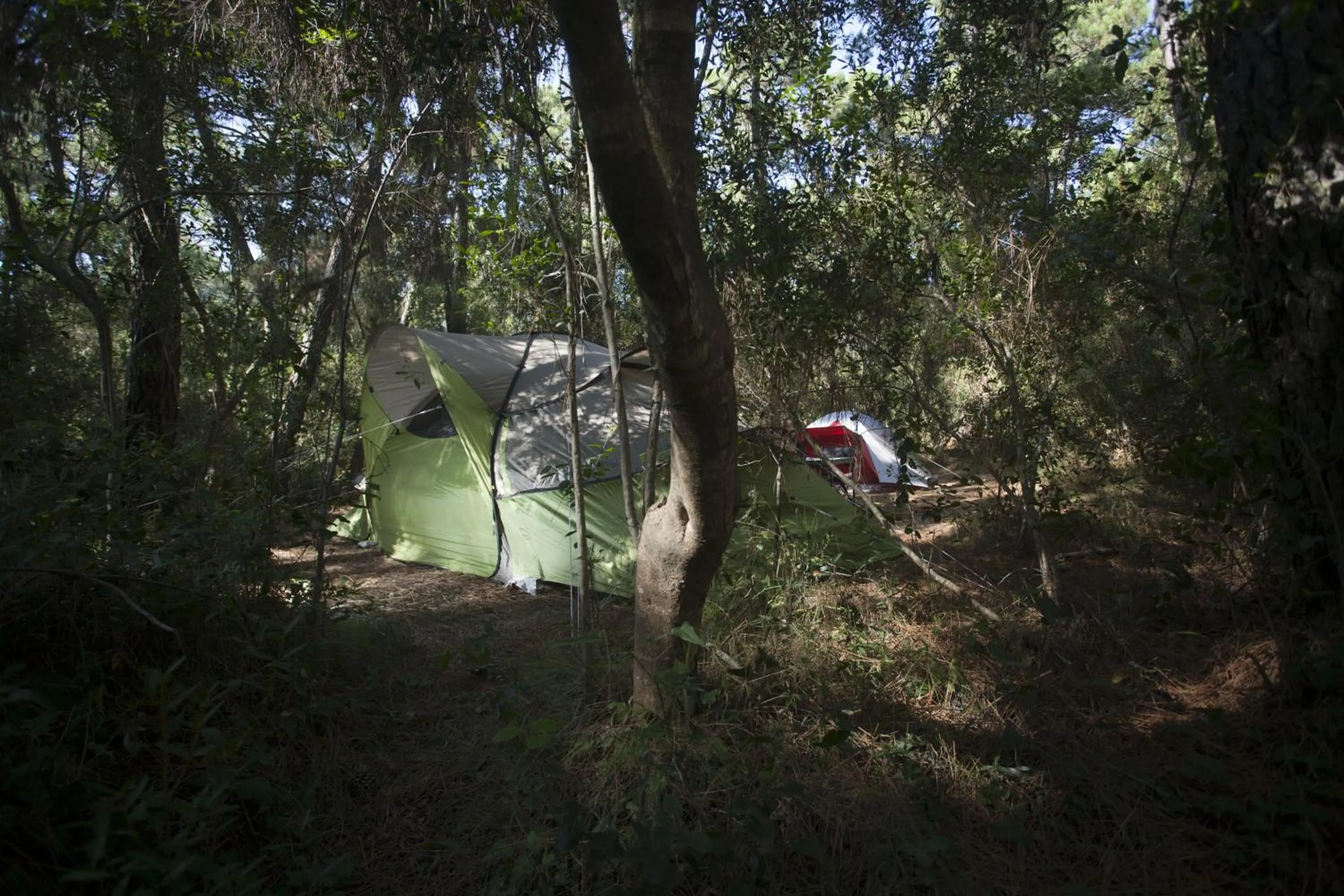 Other in PuntAla Camp & Resort