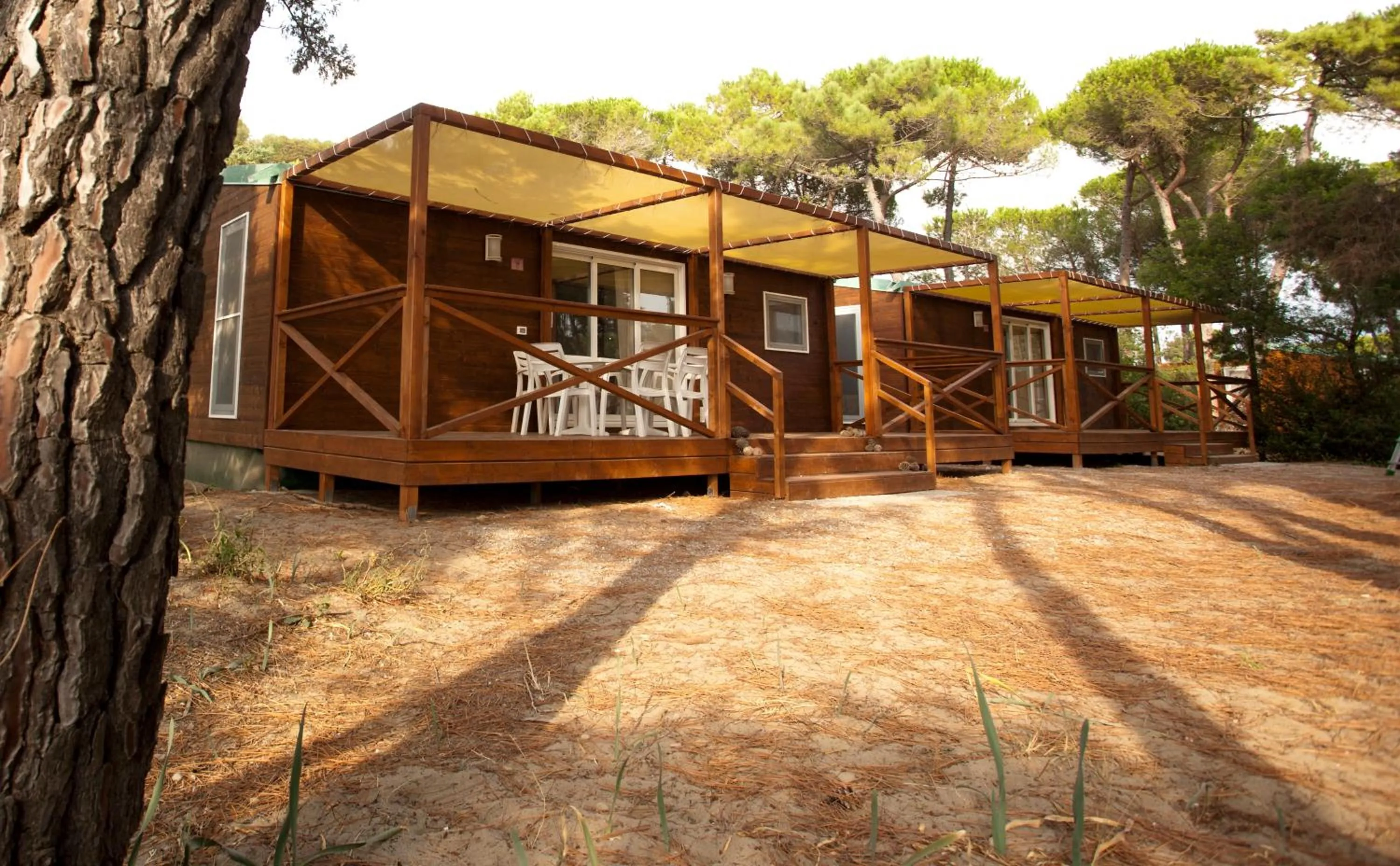 Patio in PuntAla Camp & Resort