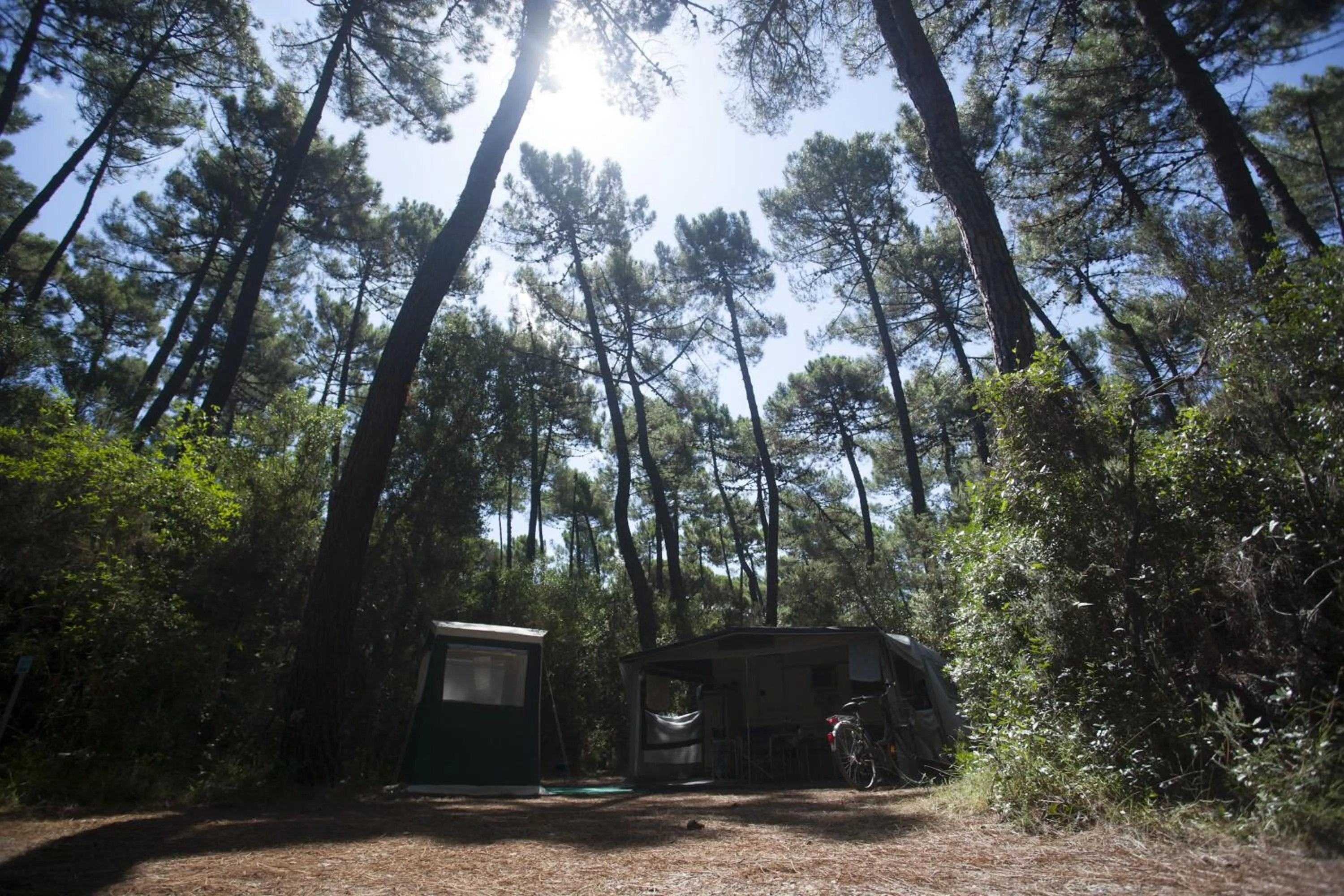 Other in PuntAla Camp & Resort