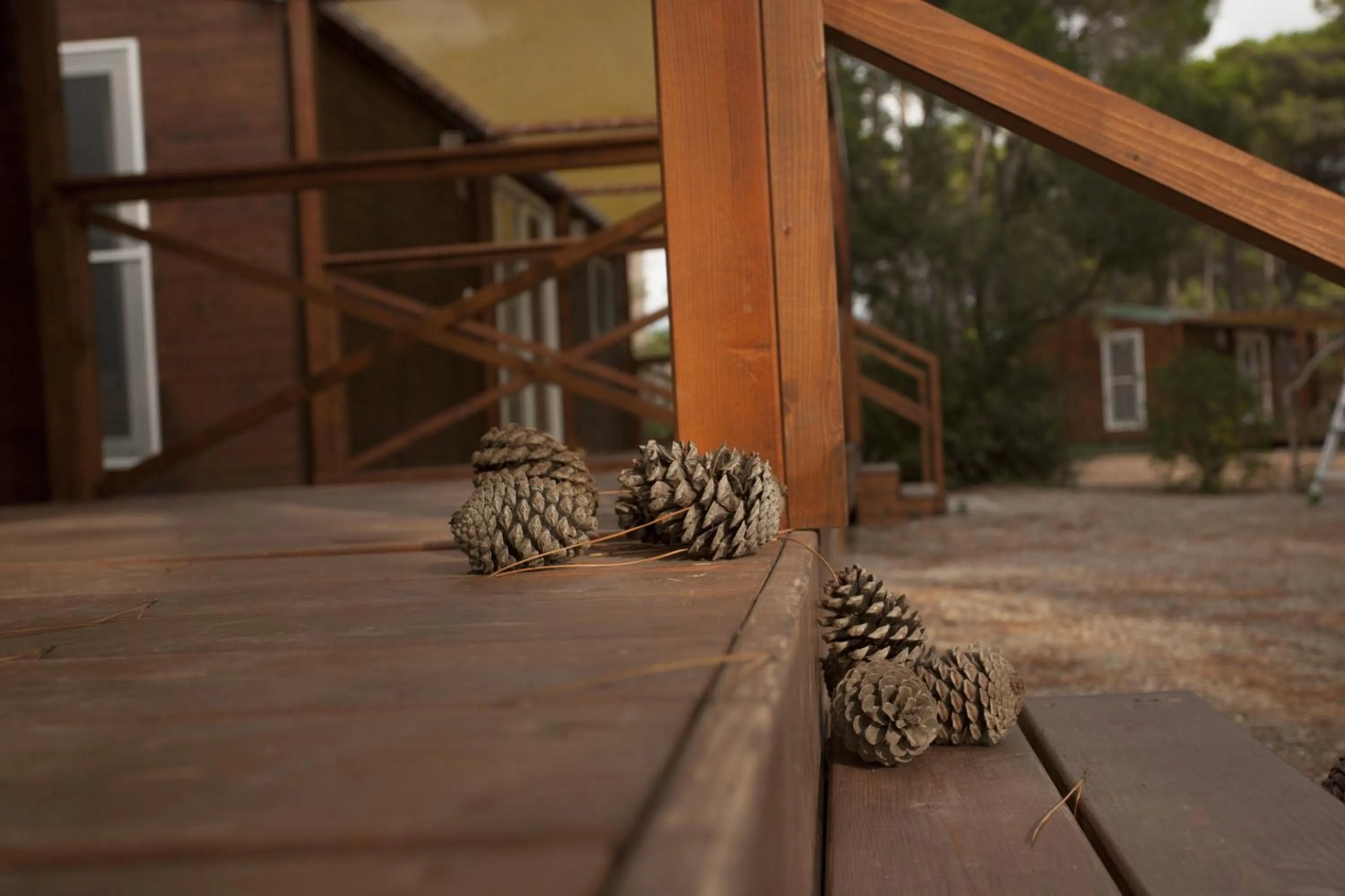 Facade/entrance in PuntAla Camp & Resort