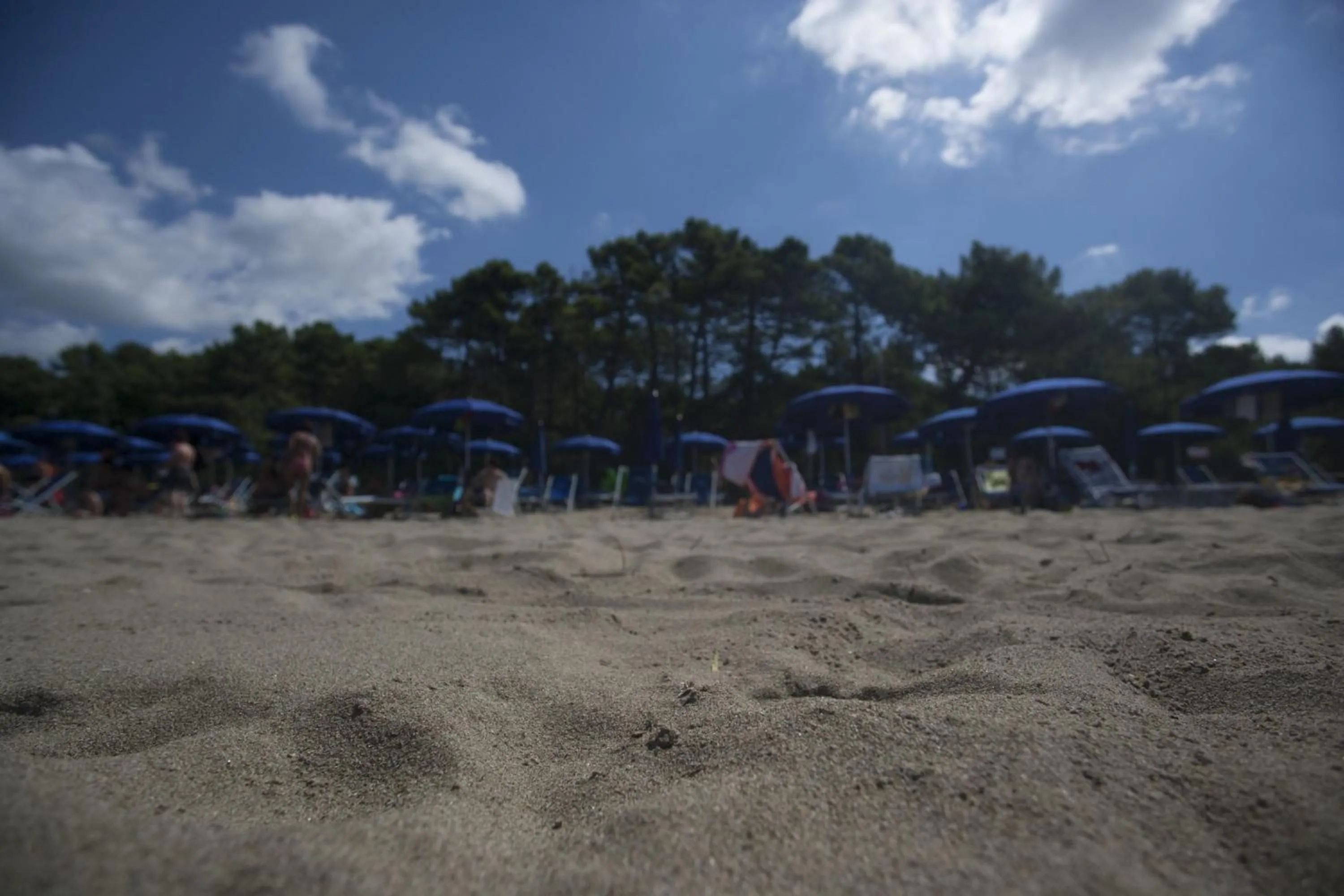 Beach in PuntAla Camp & Resort