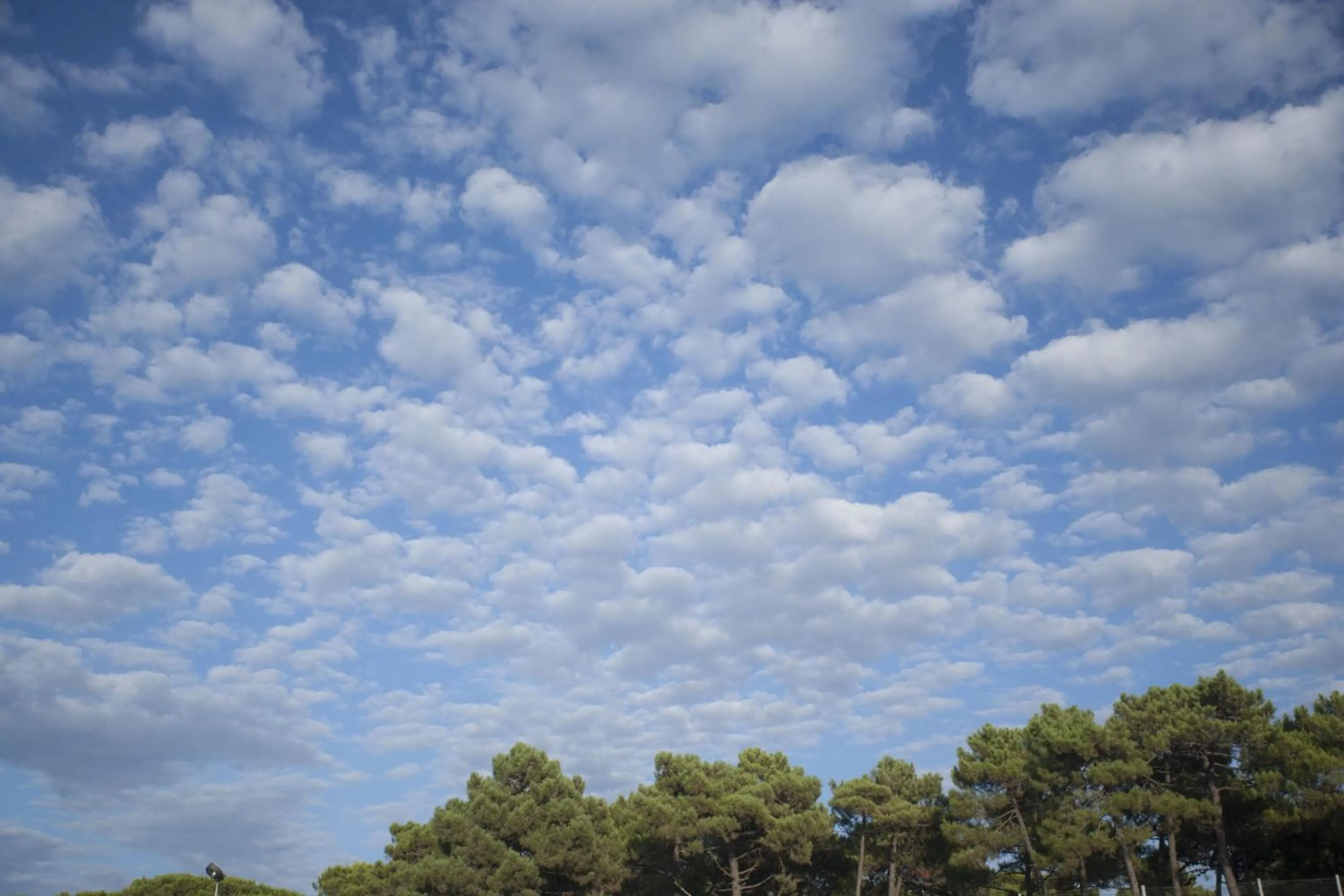 Other in PuntAla Camp & Resort