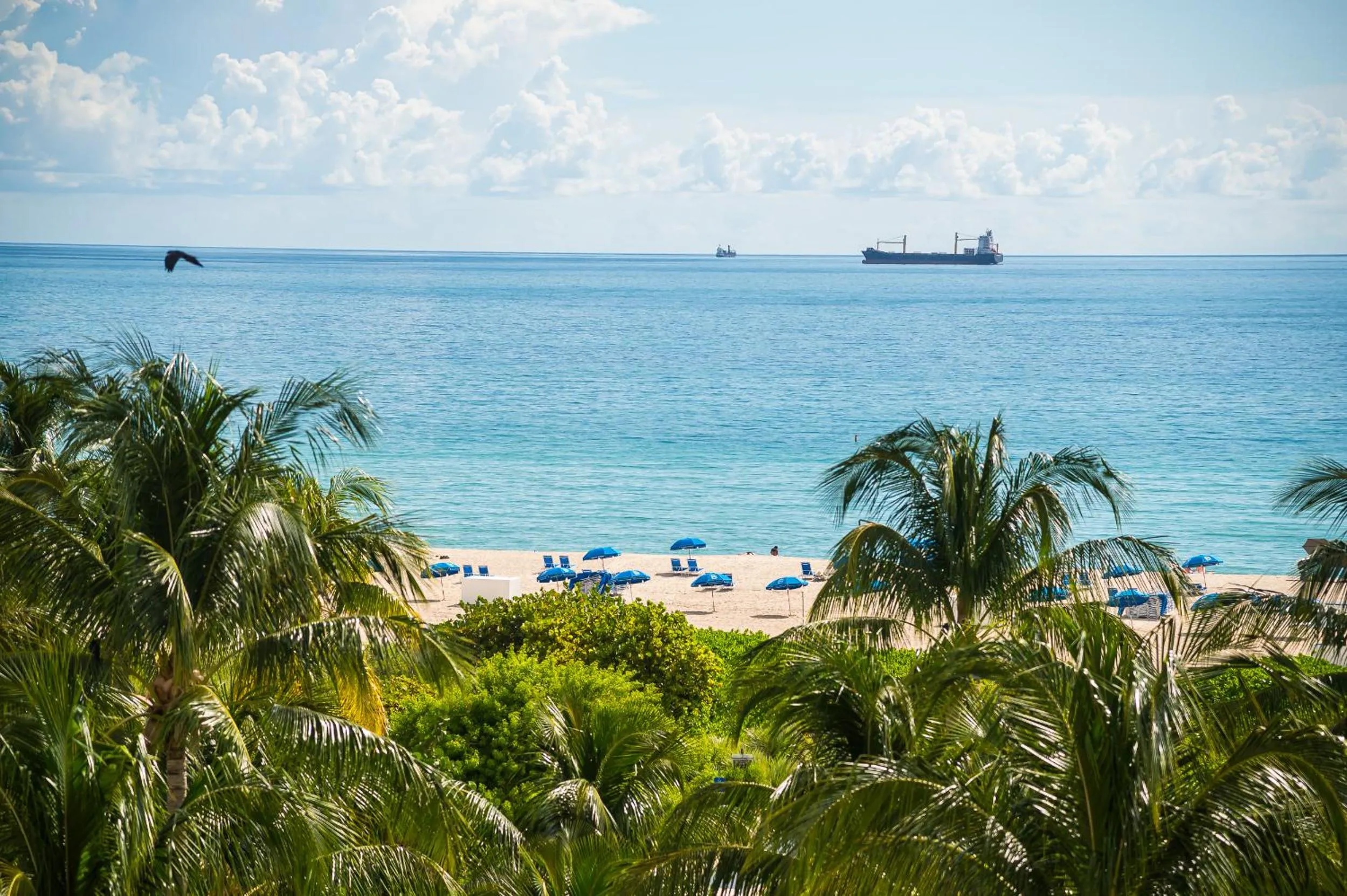 The Netherland by MIAMI BEACH OCEAN RENTAL