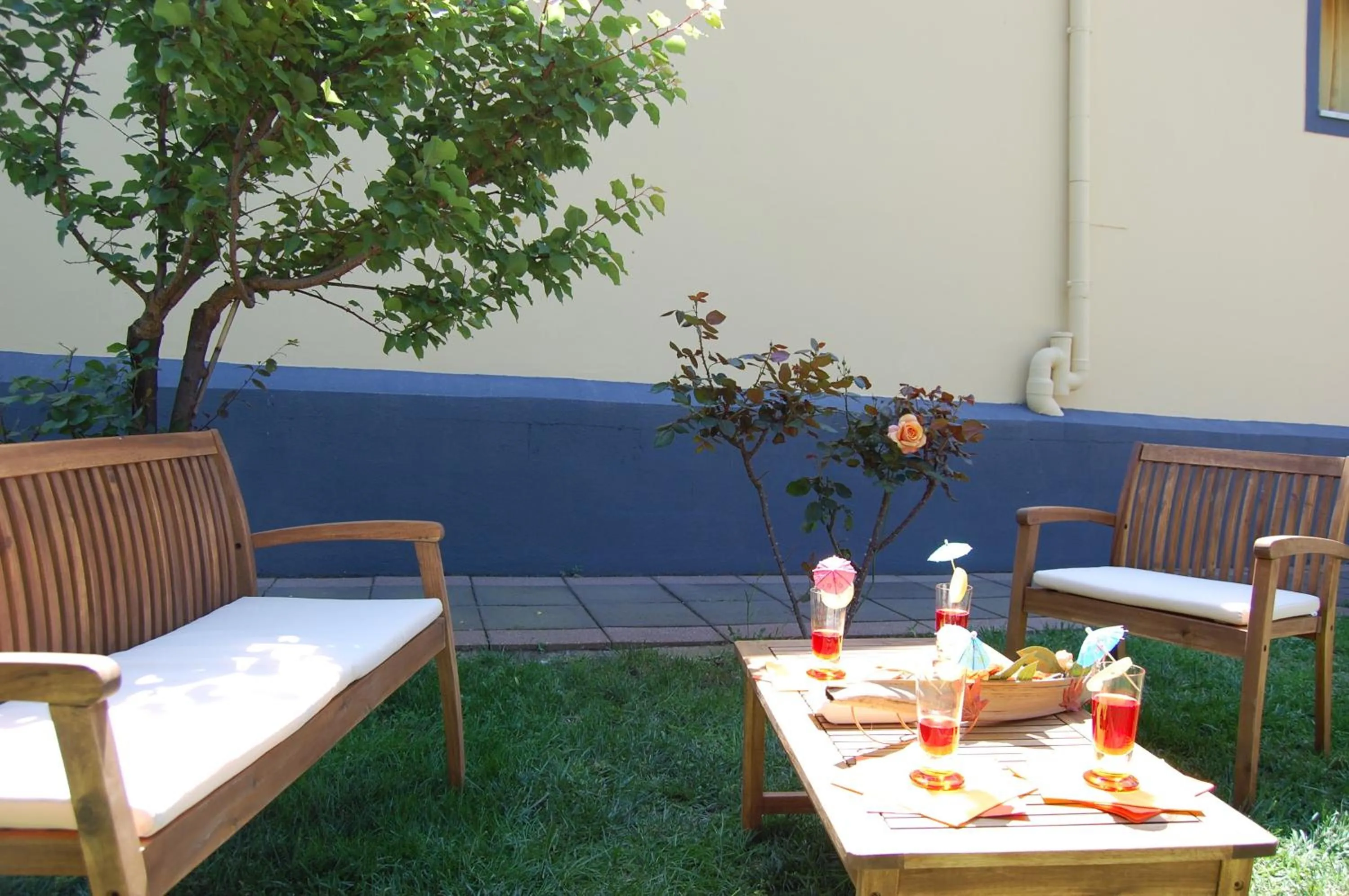 Garden in Albicocche House