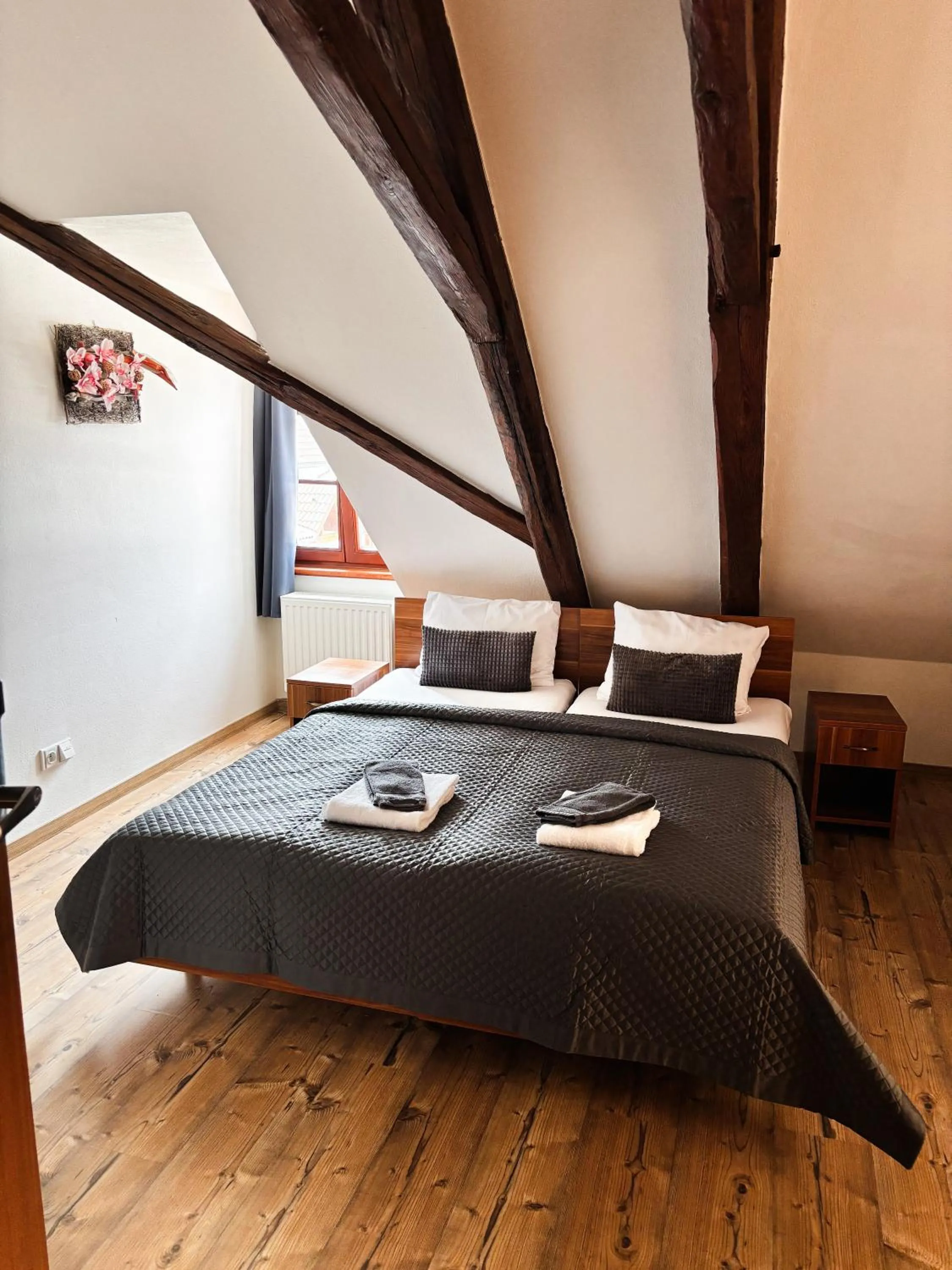 Bed in Wellness hotel & minipivovar Kněžínek