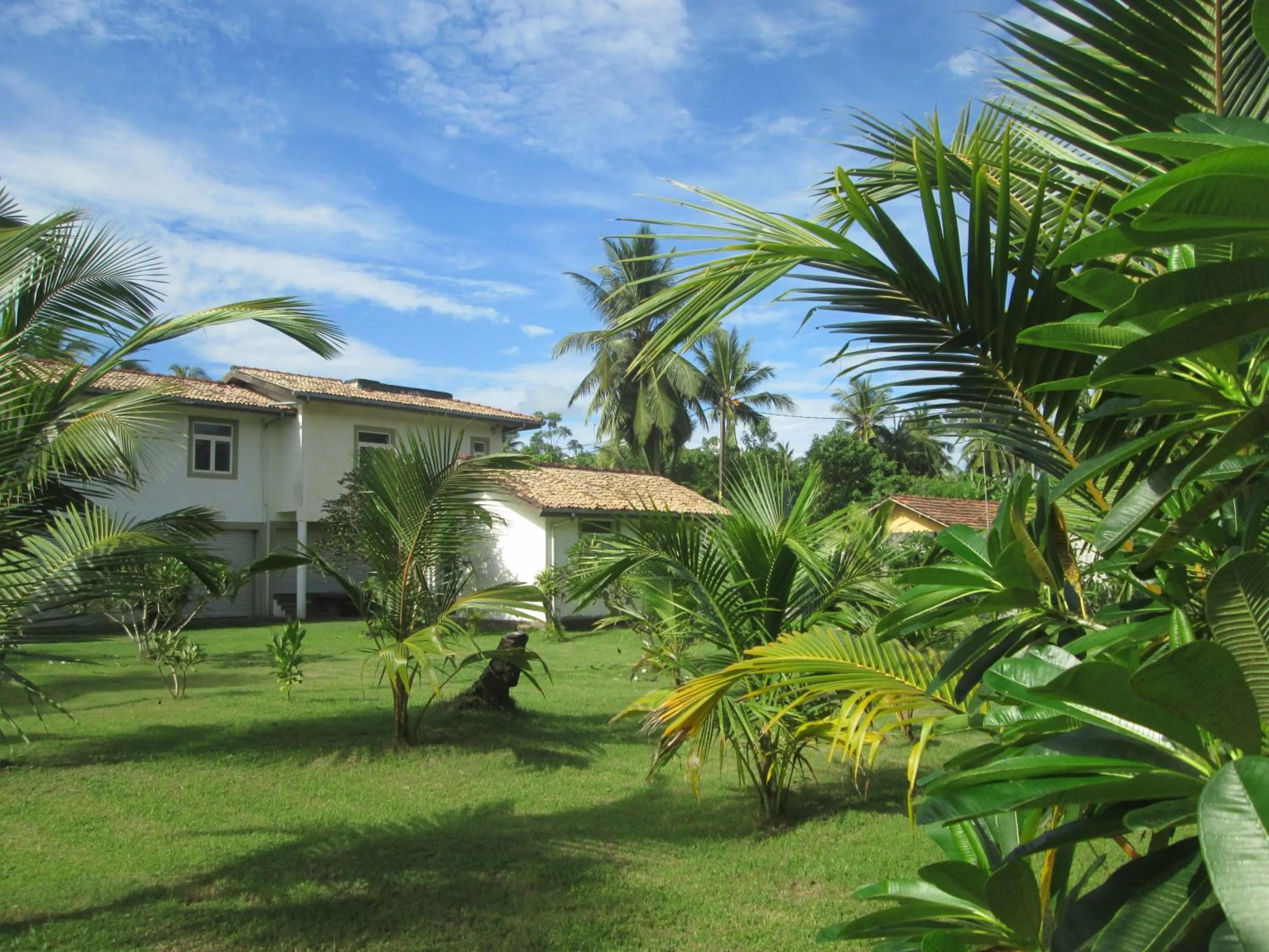 Garden in Raja Beach Hotel