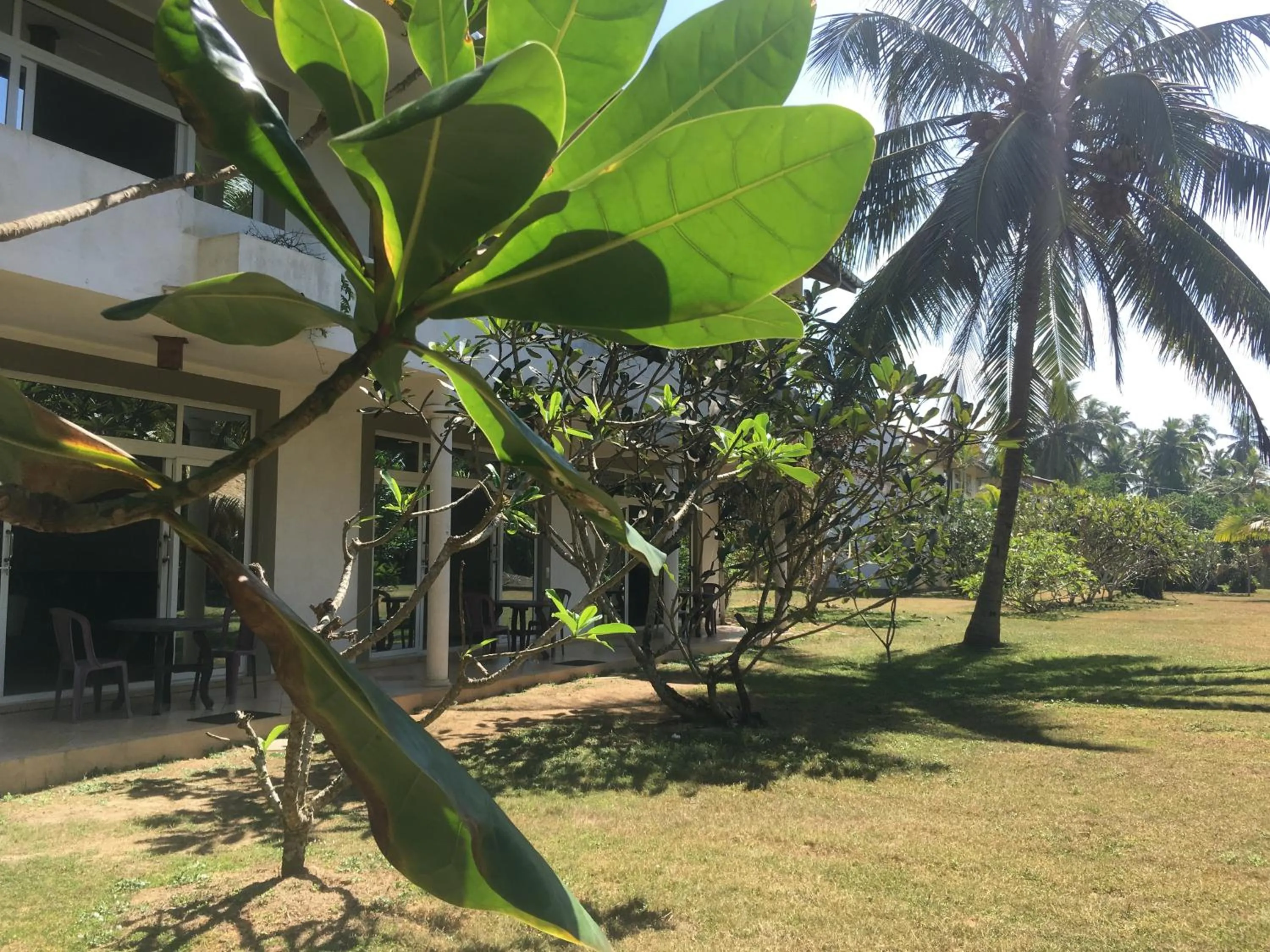 Garden in Raja Beach Hotel