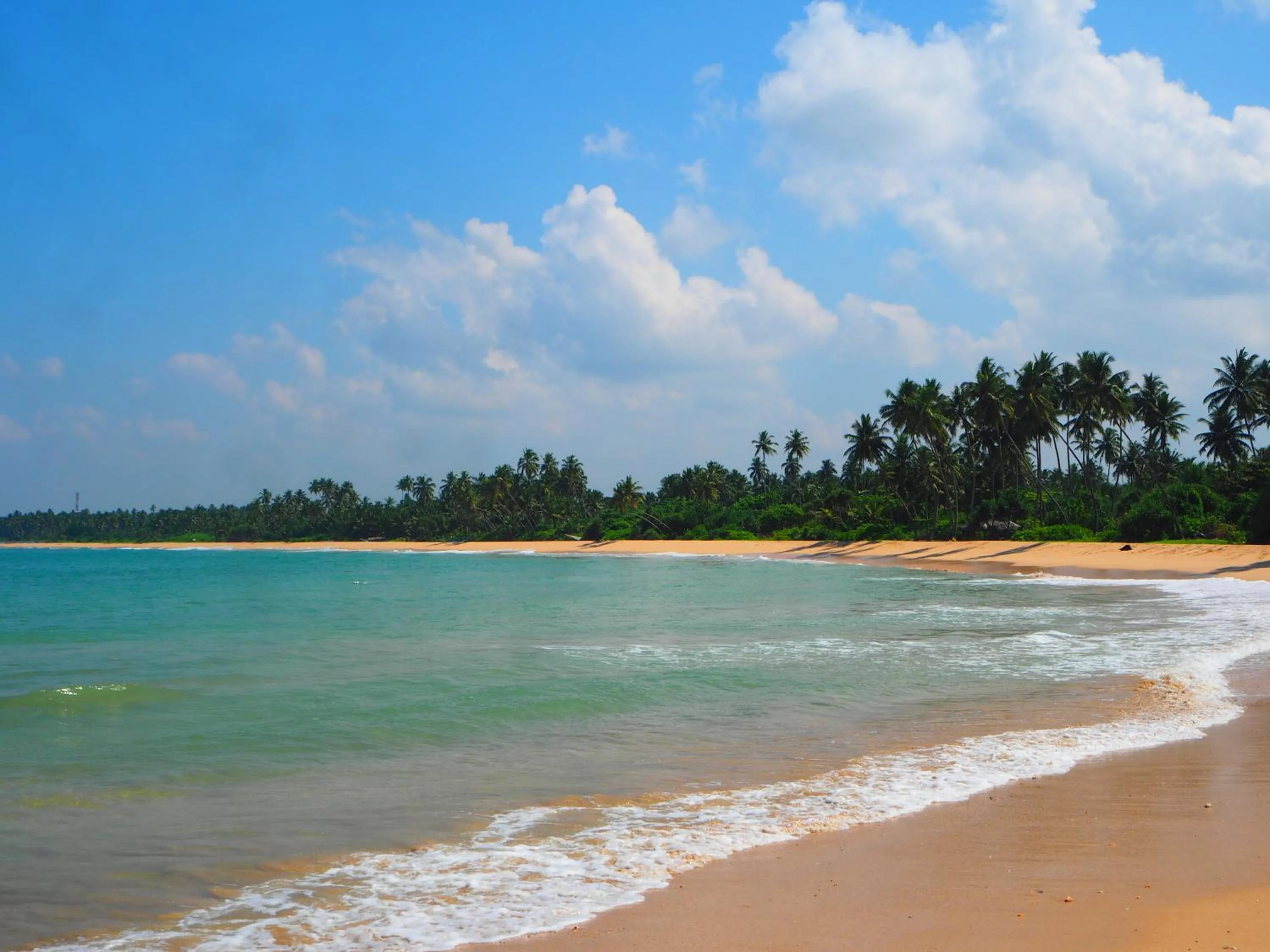 Beach in Raja Beach Hotel