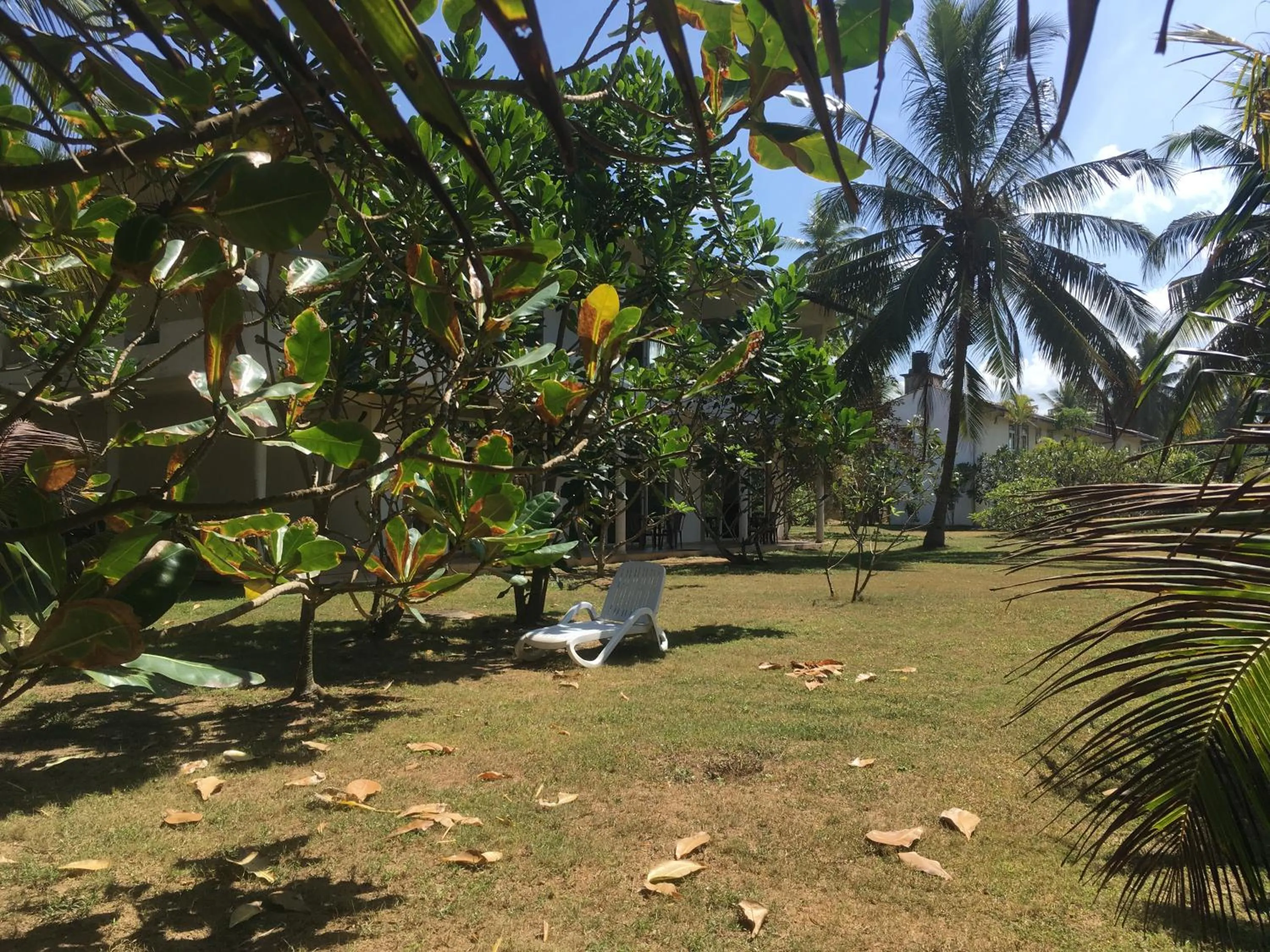 Garden in Raja Beach Hotel