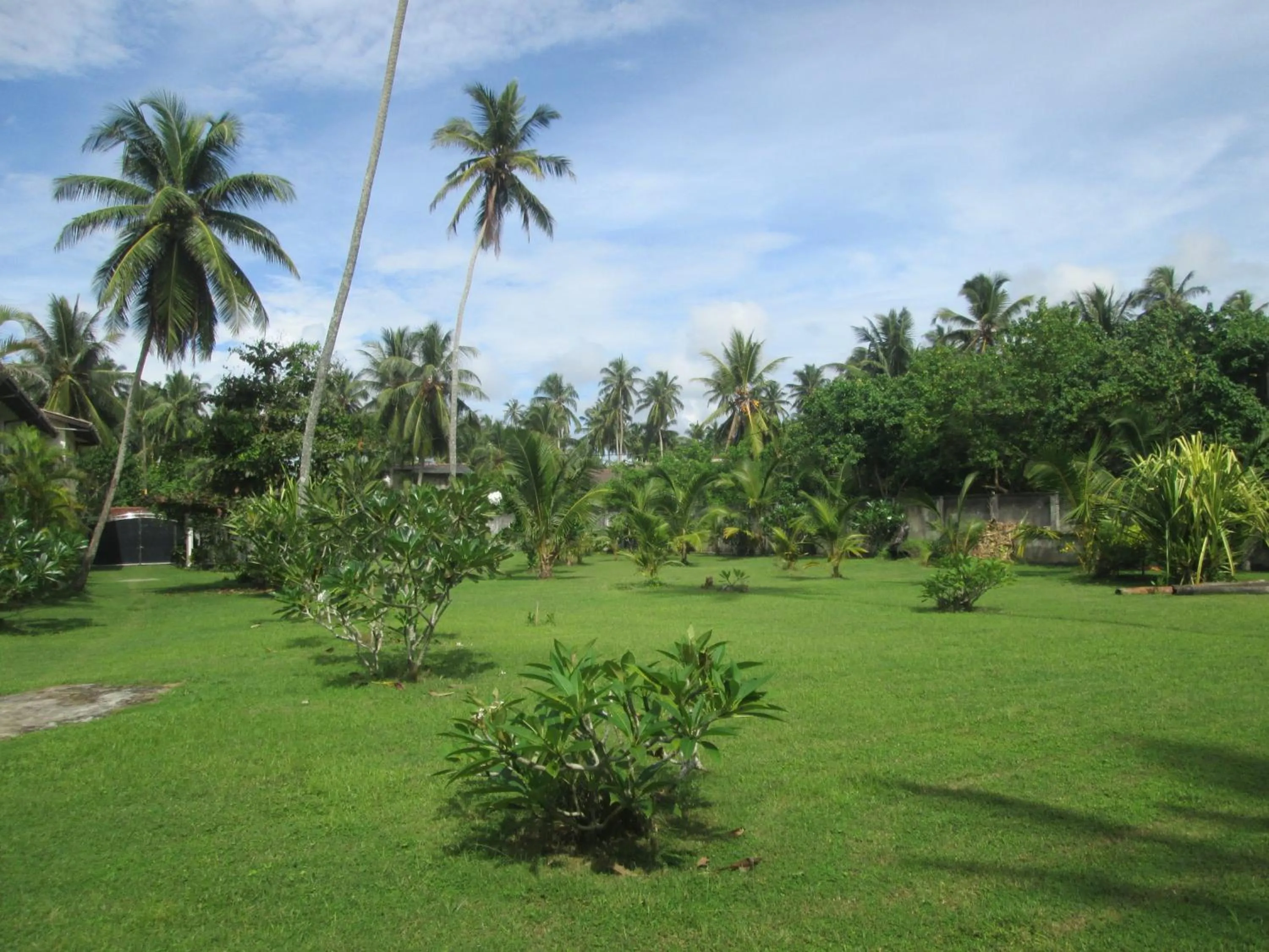 Garden in Raja Beach Hotel