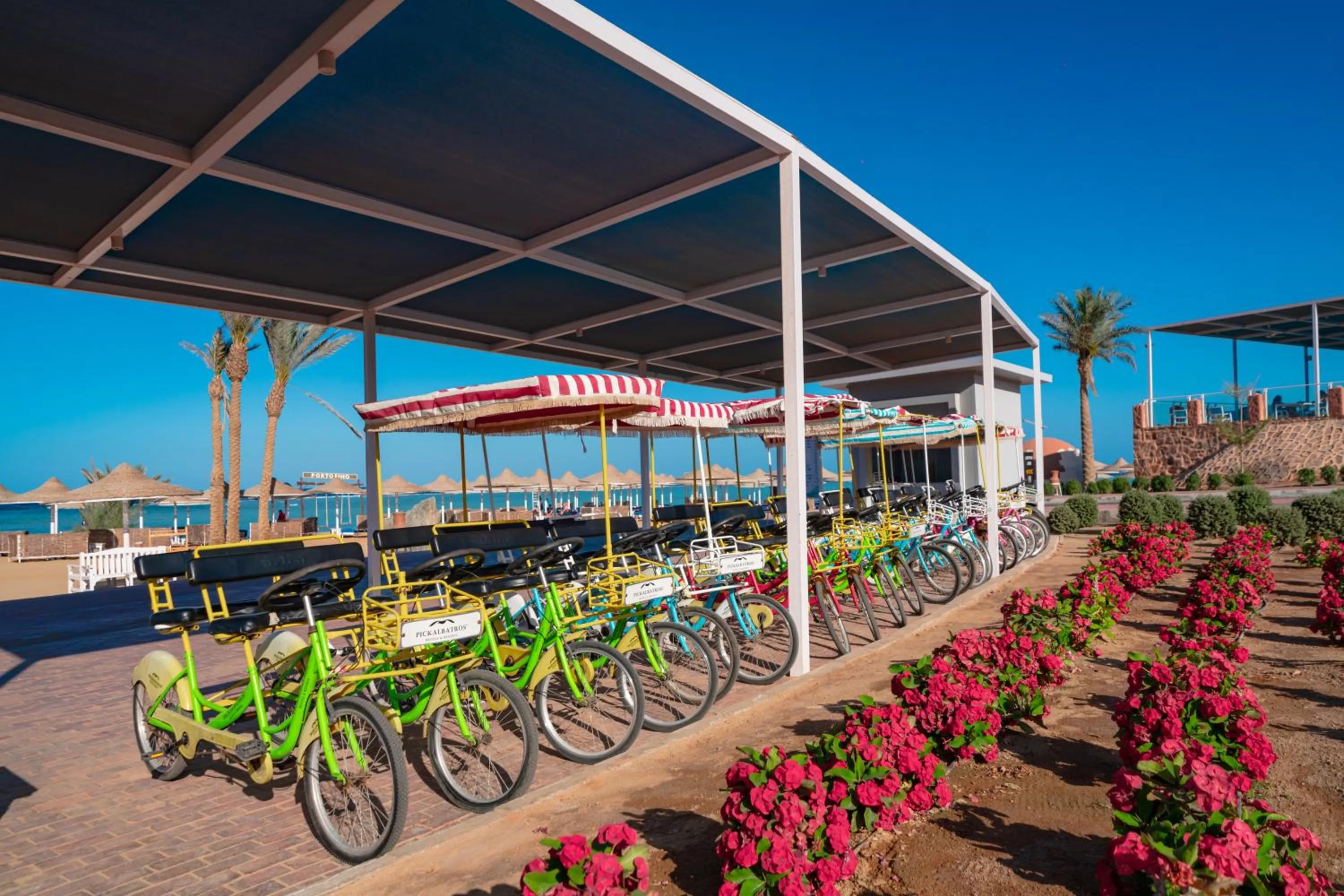 Cycling in Pickalbatros Vita Resort - Portofino Marsa Alam