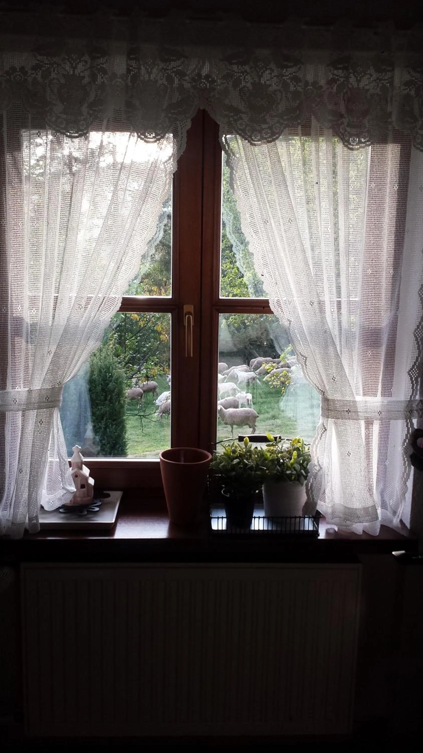 Chalúpka pod Lipkami