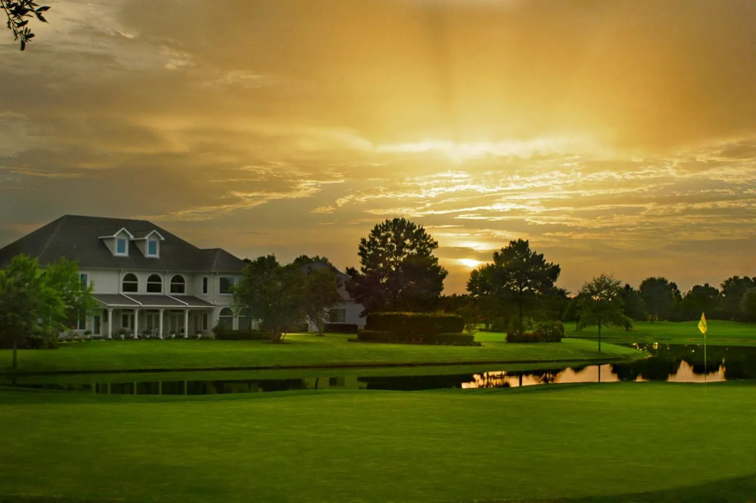 Natural landscape in Cypress Point