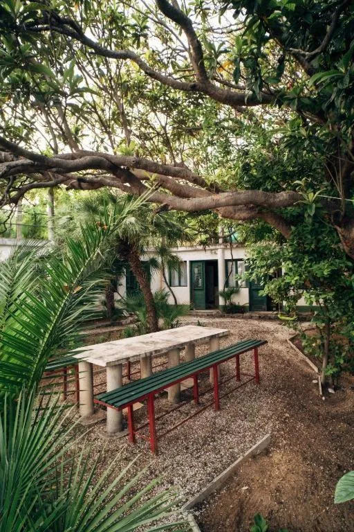 Garden in Villa Šoti