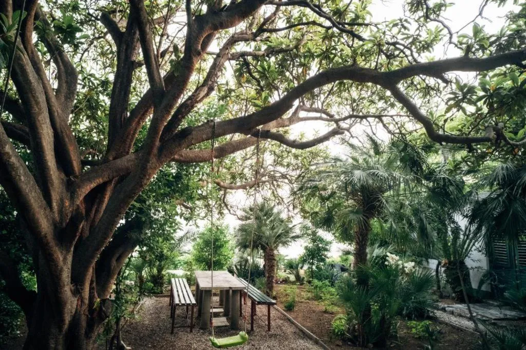 Garden in Villa Šoti