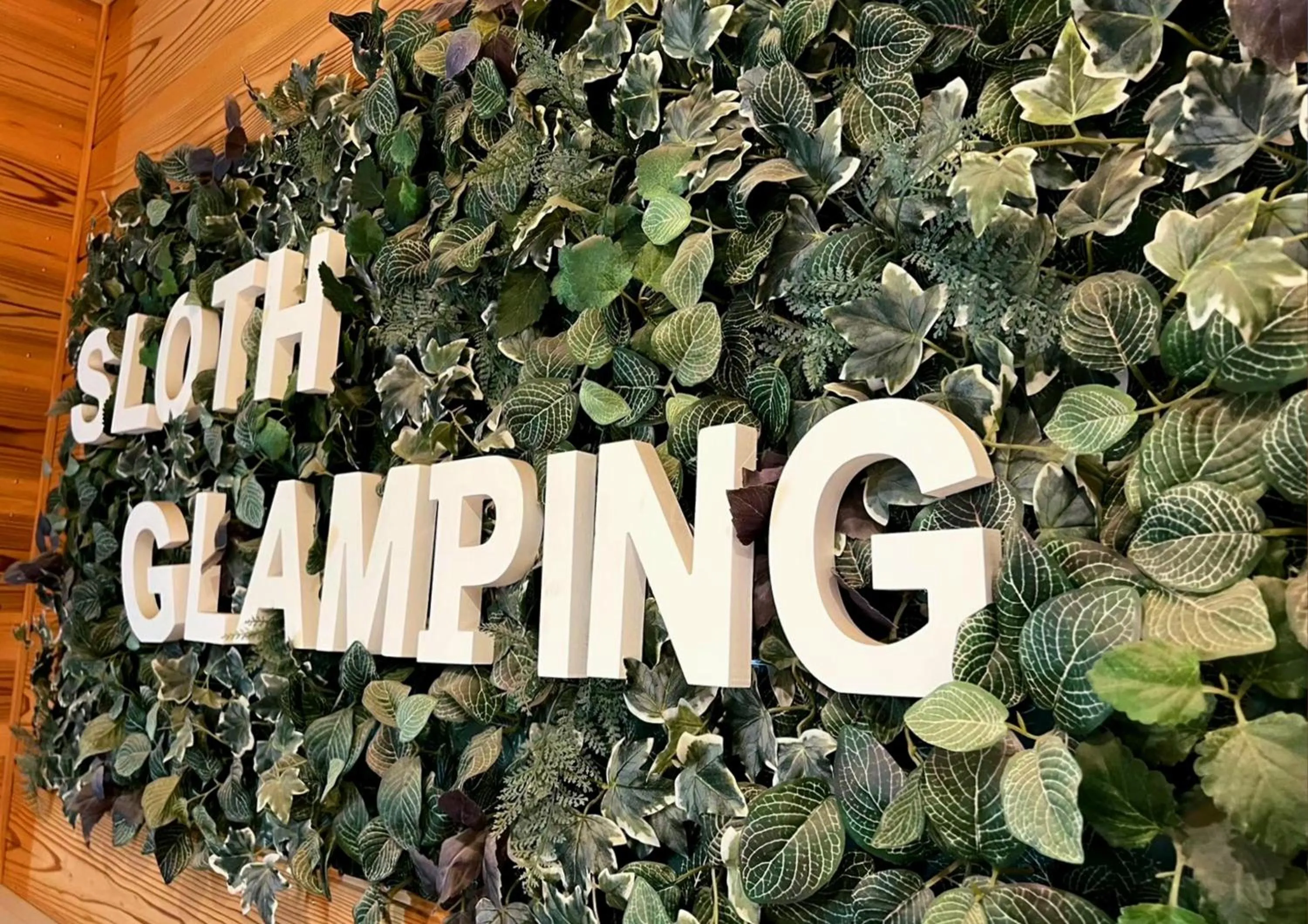 Property building in Sloth Glamping