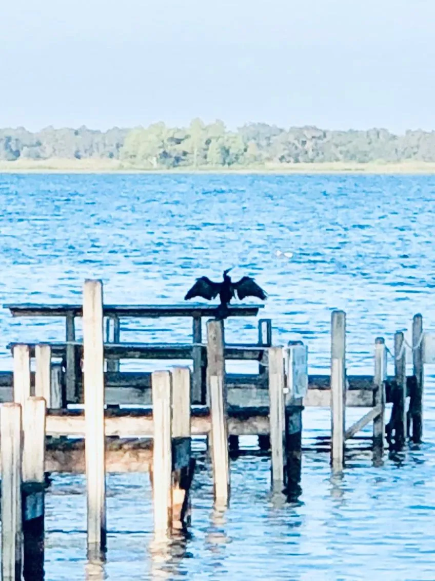 Lakeside Inn and Cafe