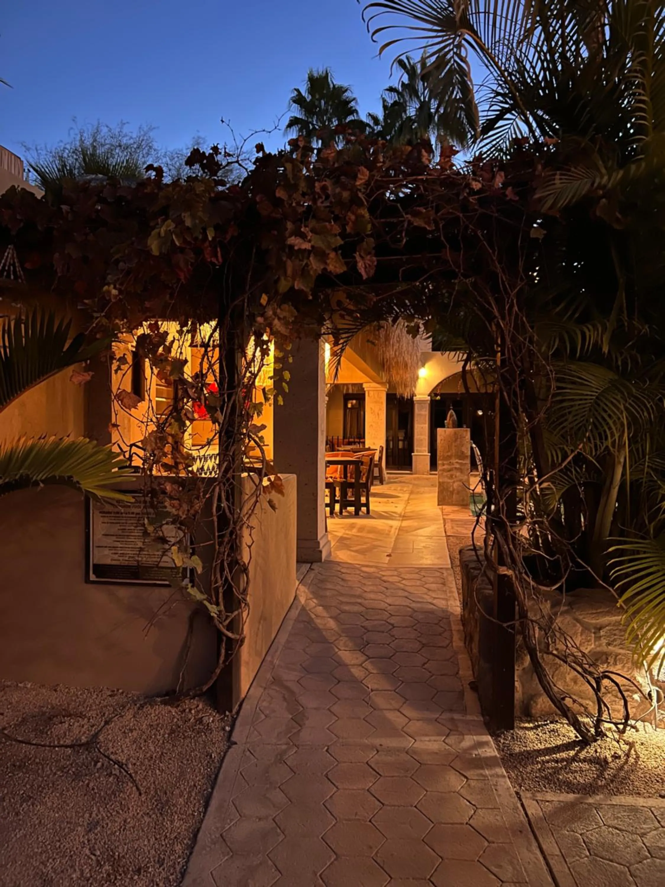 Garden view in Hotel 1697 Loreto