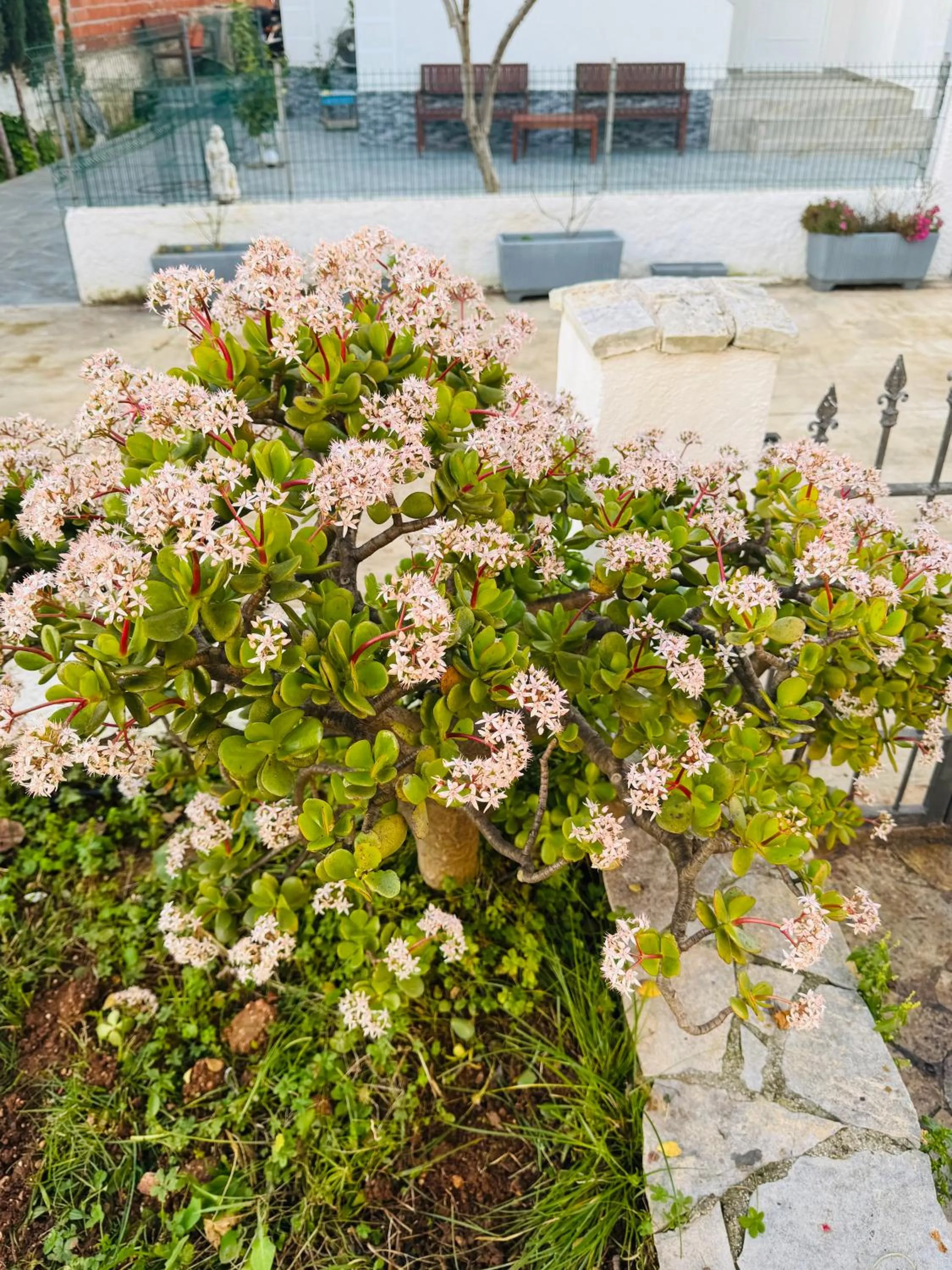 Garden in Central Garden Sofia 1- Free Parking