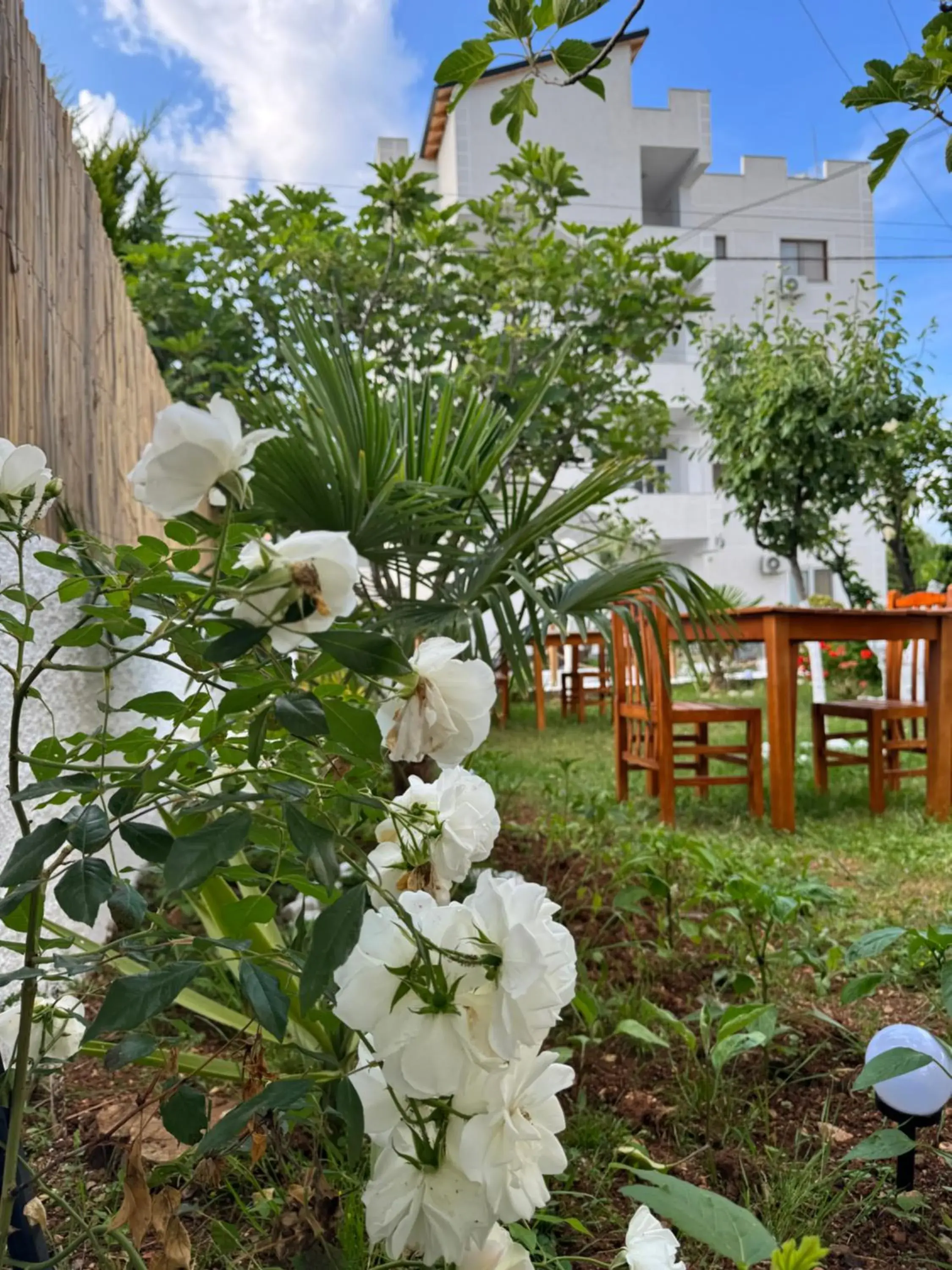 Central Garden Sofia 1- Free Parking Central Garden Sofia 1- Free Parking