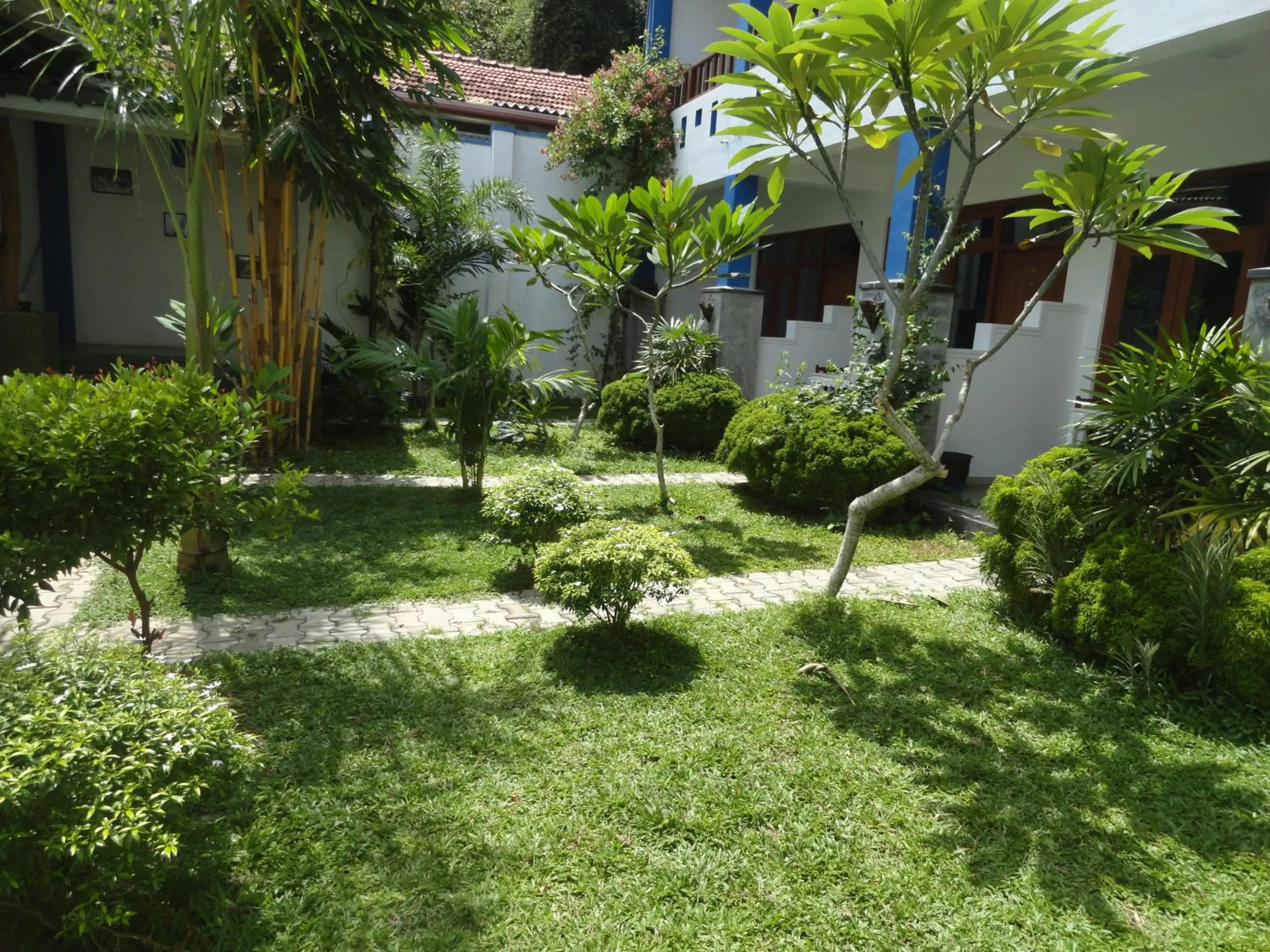 Garden in Aaradhya Mirissa By Ocean Reach Holidays