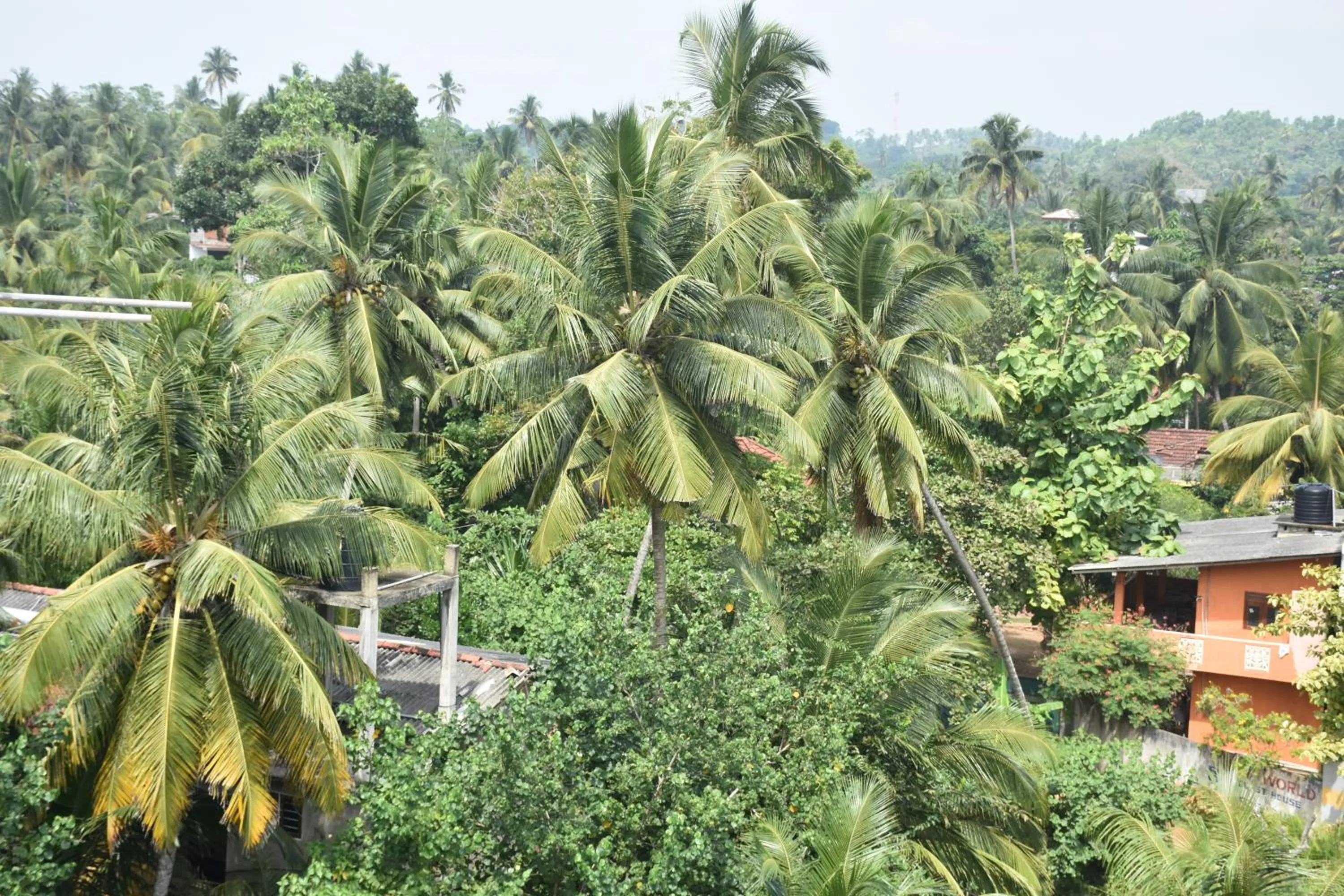 View (from property/room) in Aaradhya Mirissa By Ocean Reach Holidays
